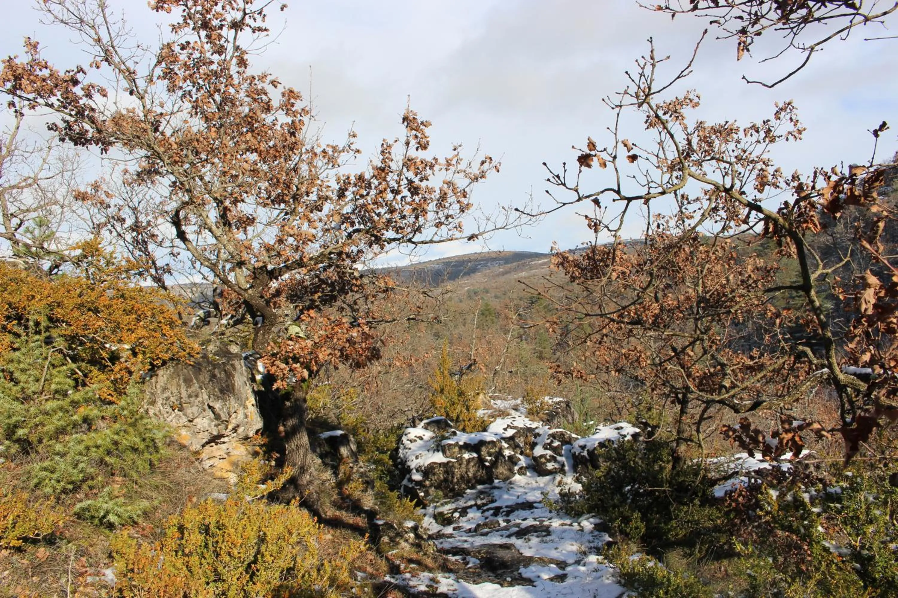Natural landscape in Les chambres de la Dourbie