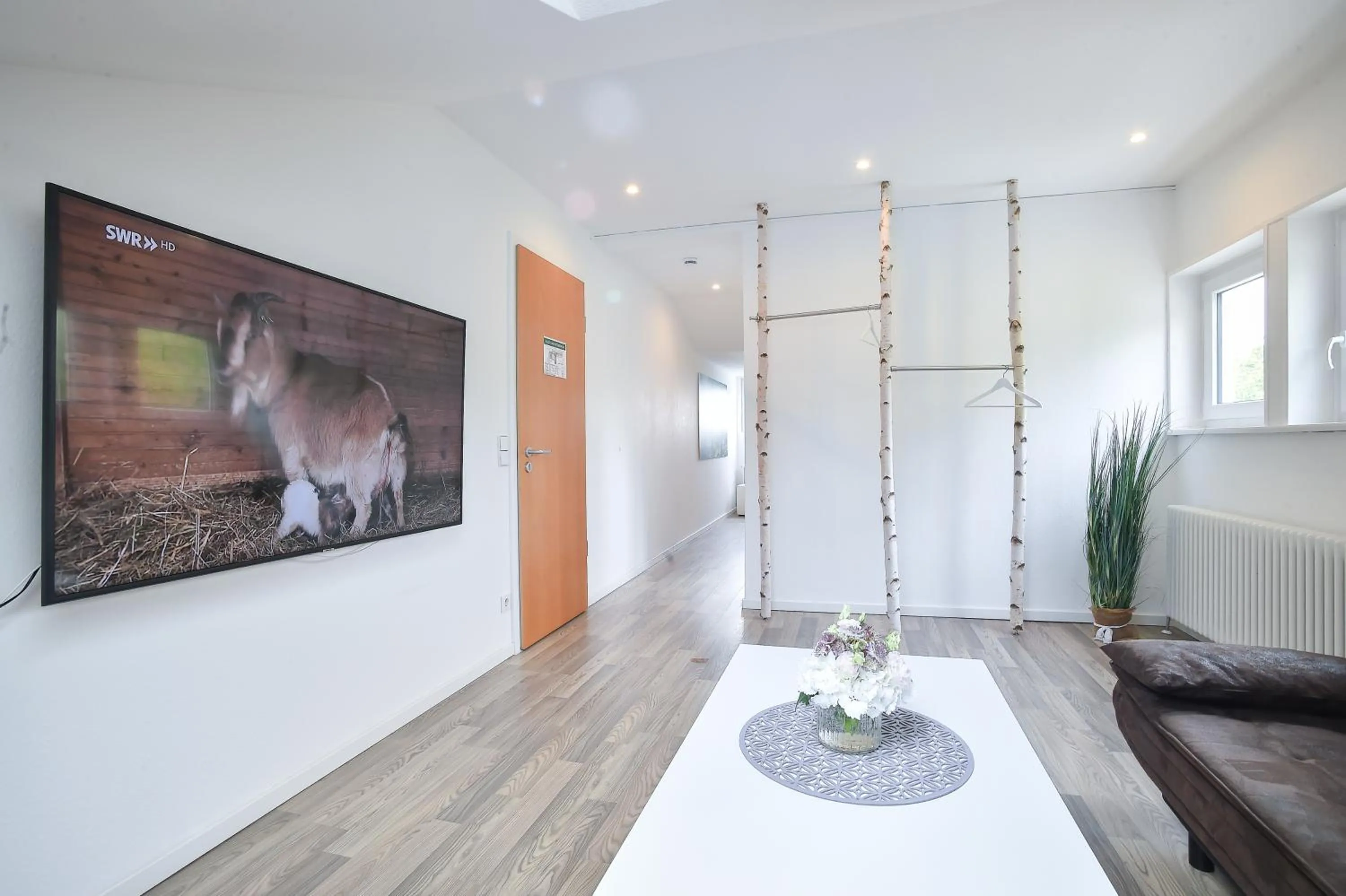 TV and multimedia in Habitat Esslingen