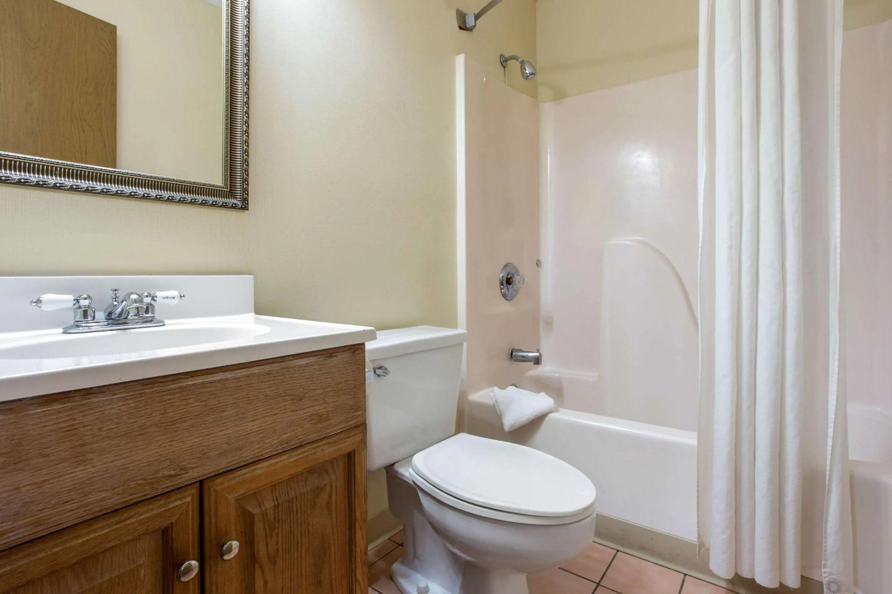 Bathroom in Rodeway Inn Asheville