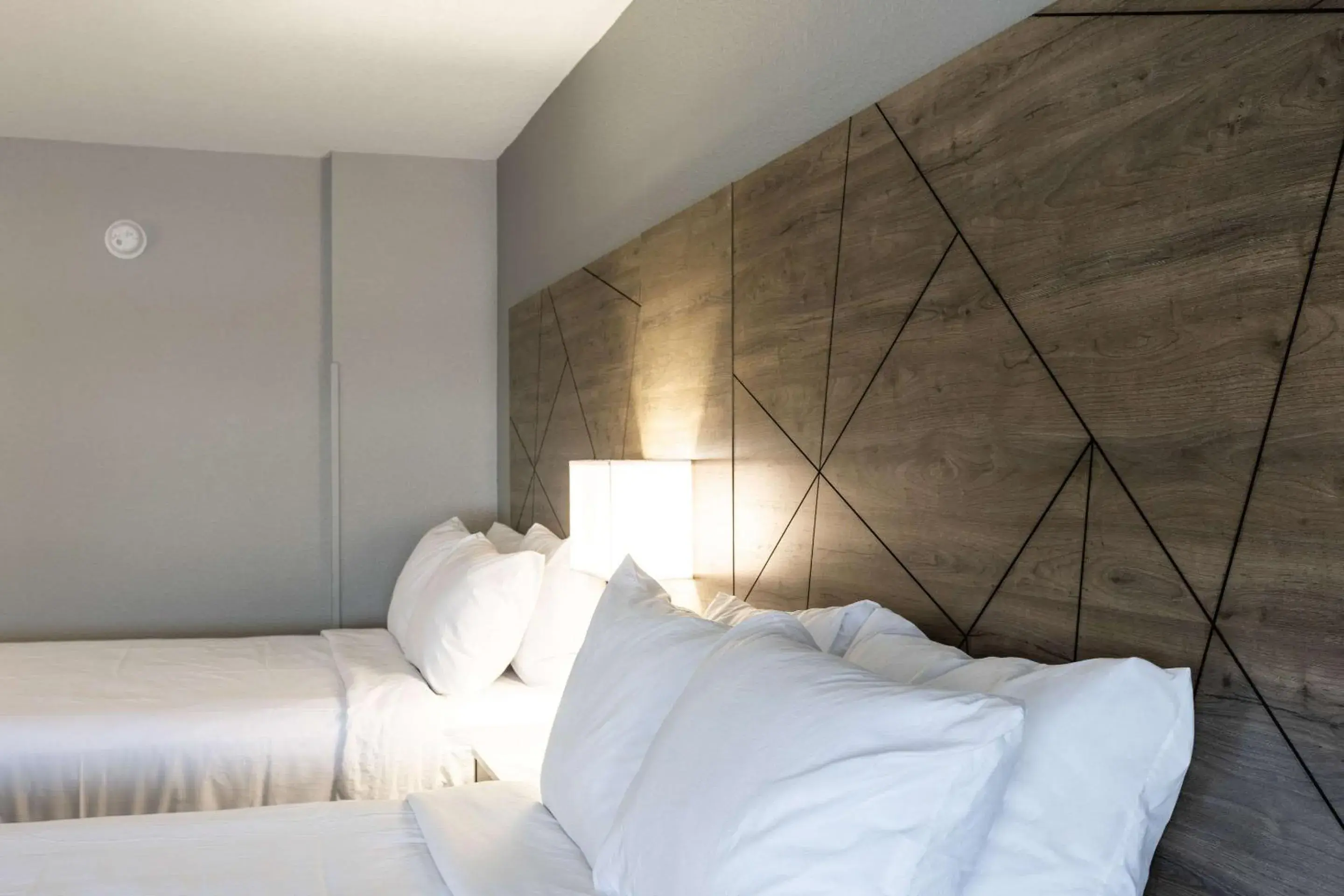 Bedroom, Bed in Rodeway Inn & Suites near Outlet Mall - Asheville Bedroom, Bed in Rodeway Inn & Suites near Outlet Mall - Asheville