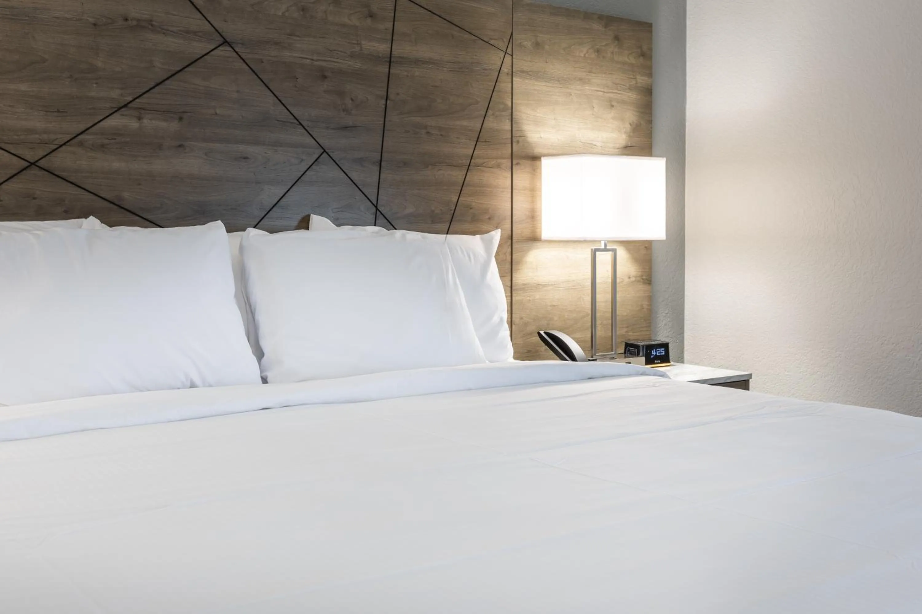 Bedroom, Bed in Rodeway Inn & Suites near Outlet Mall - Asheville