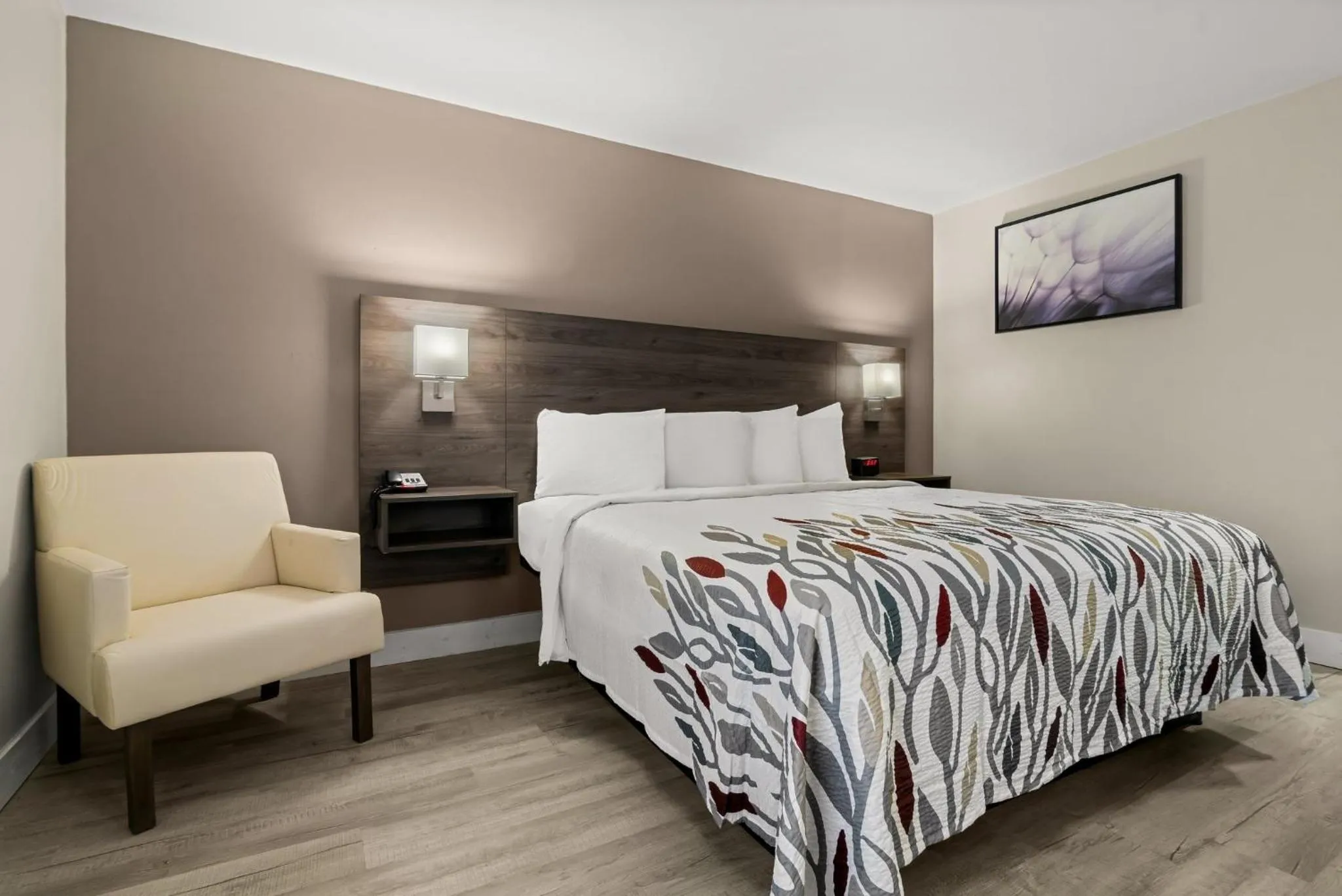 Photo of the whole room, Bed in Red Roof Inn Washington, NC