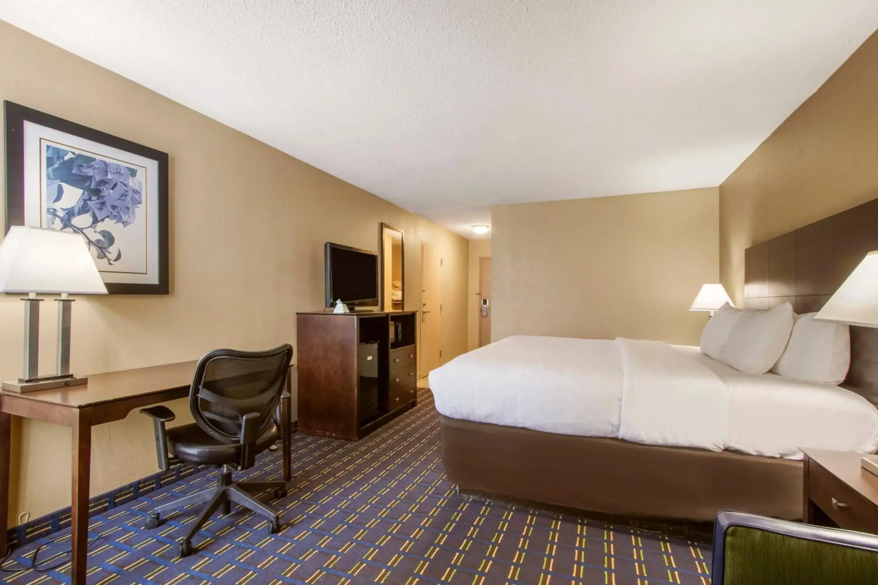 Photo of the whole room, Bed in Clarion Inn Asheville Airport