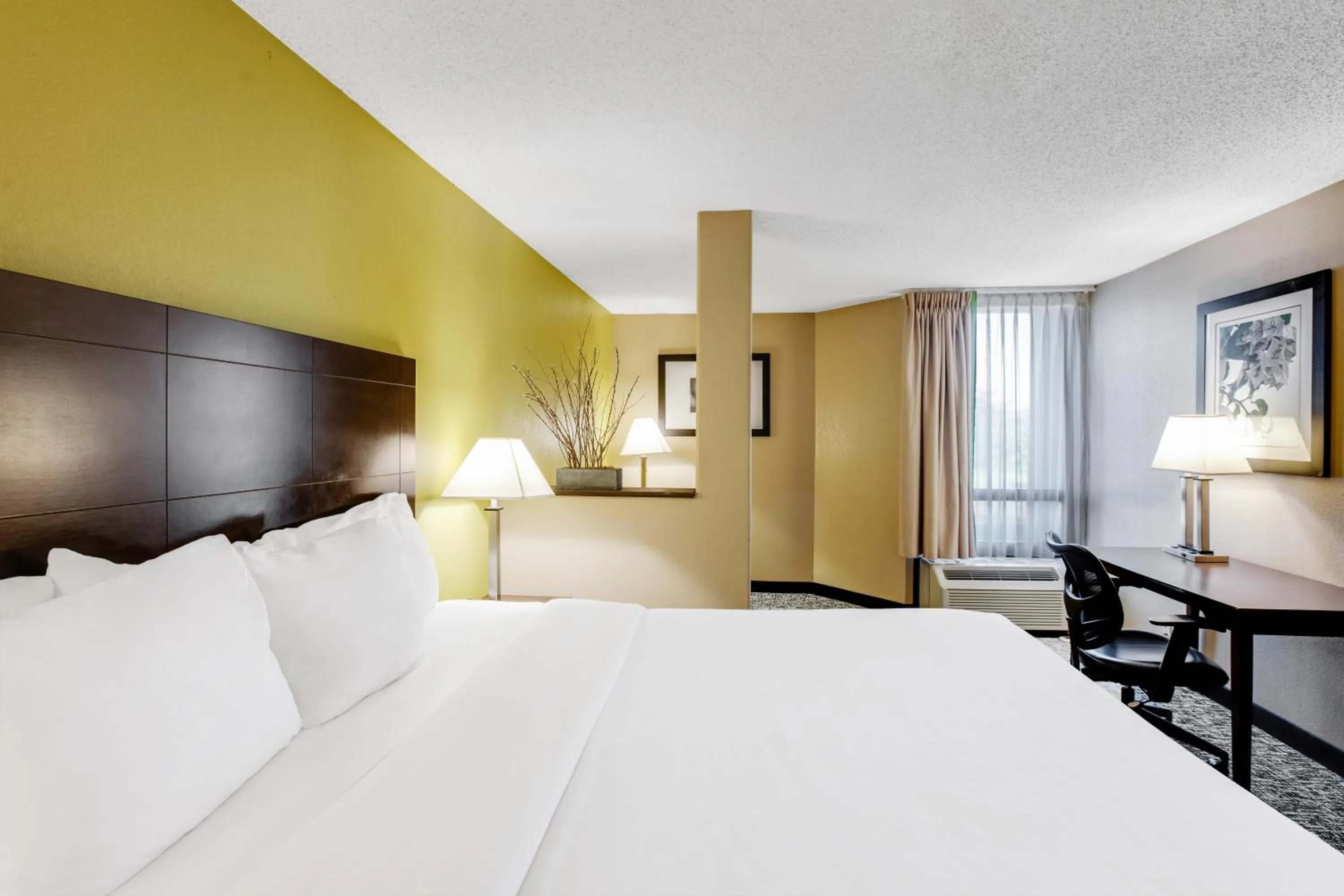 Photo of the whole room, Bed in Clarion Inn Asheville Airport