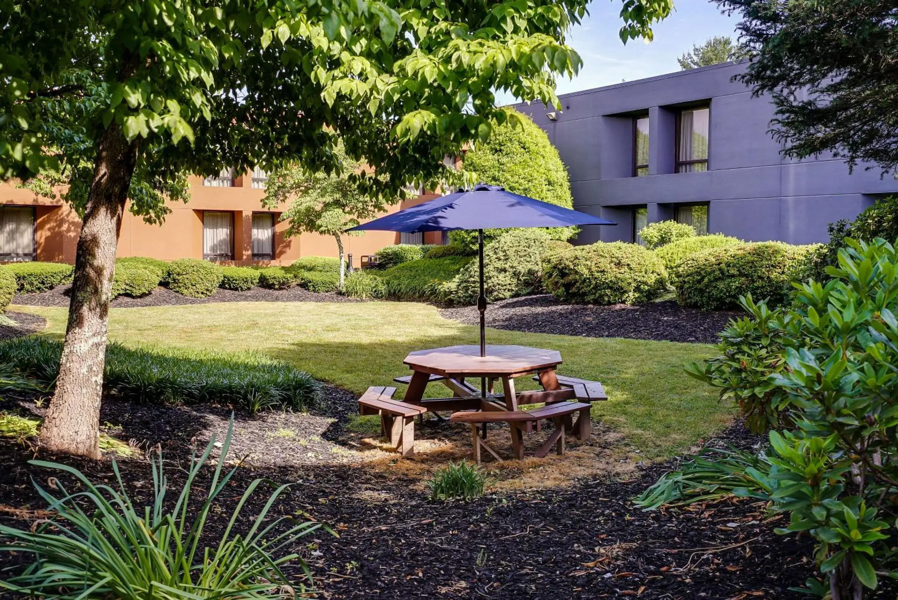 Swimming pool, Garden in Clarion Inn Asheville Airport