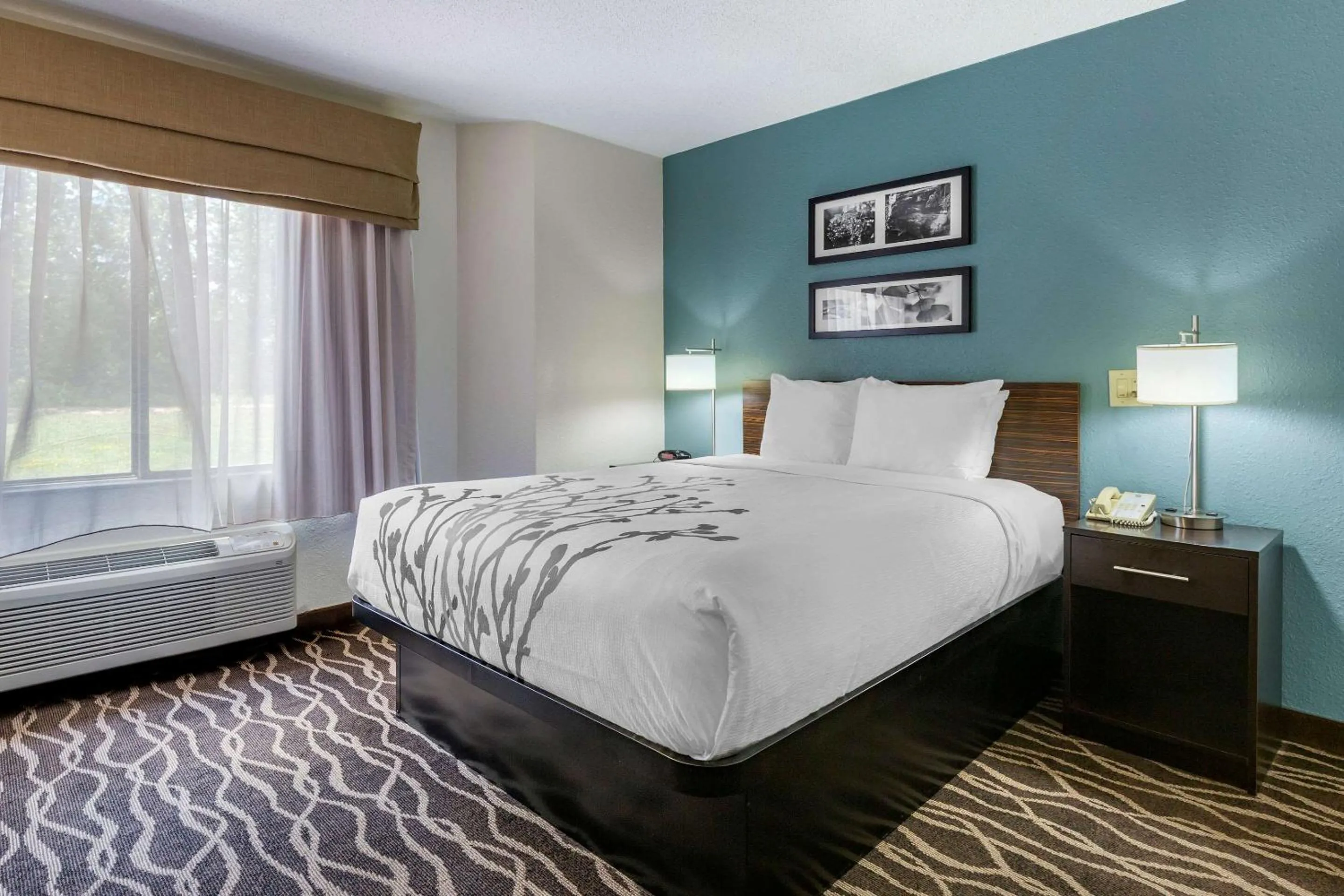 Bedroom, Bed in Sleep Inn Fayetteville I-95