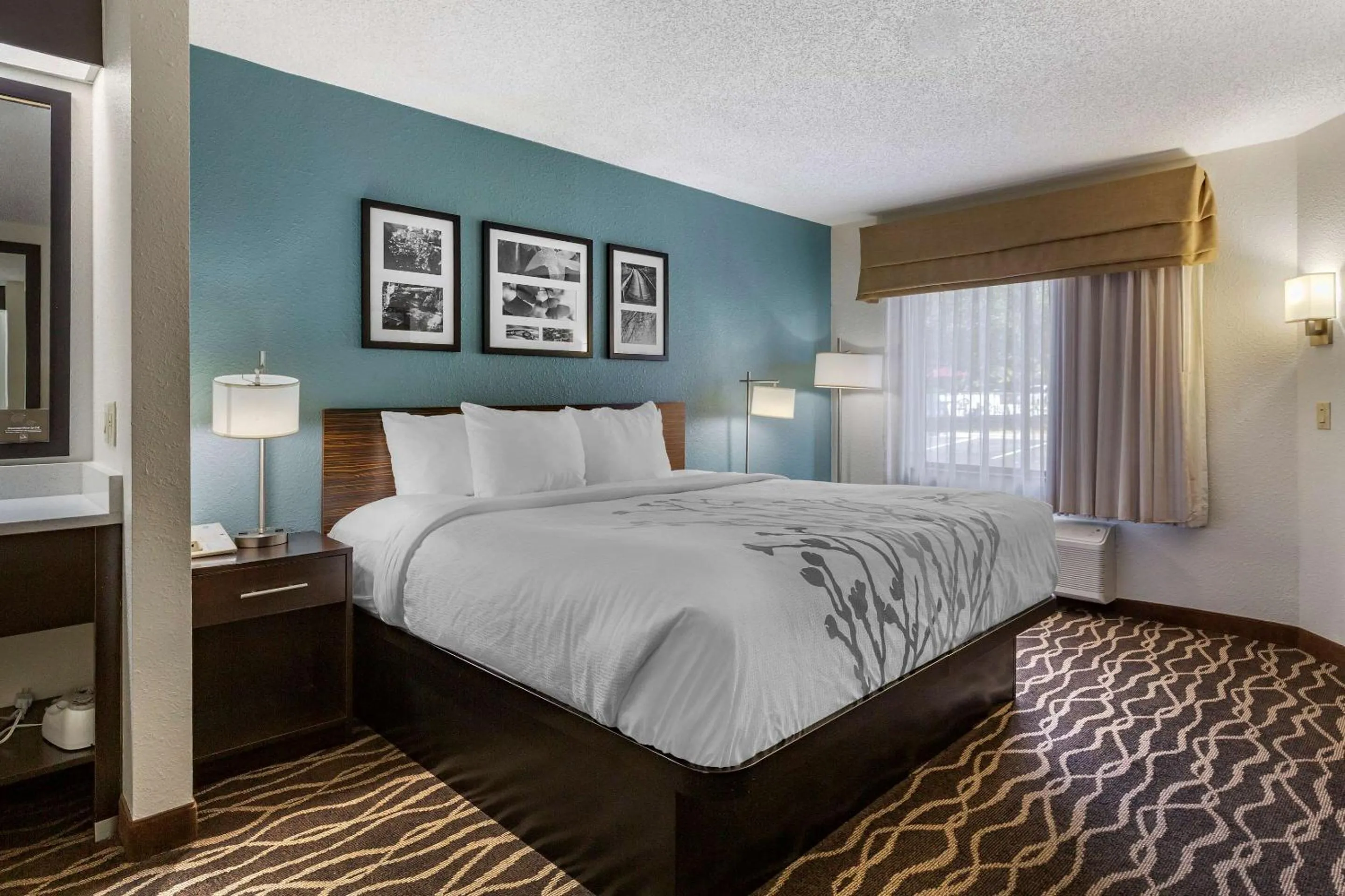 Bedroom, Bed in Sleep Inn Fayetteville I-95