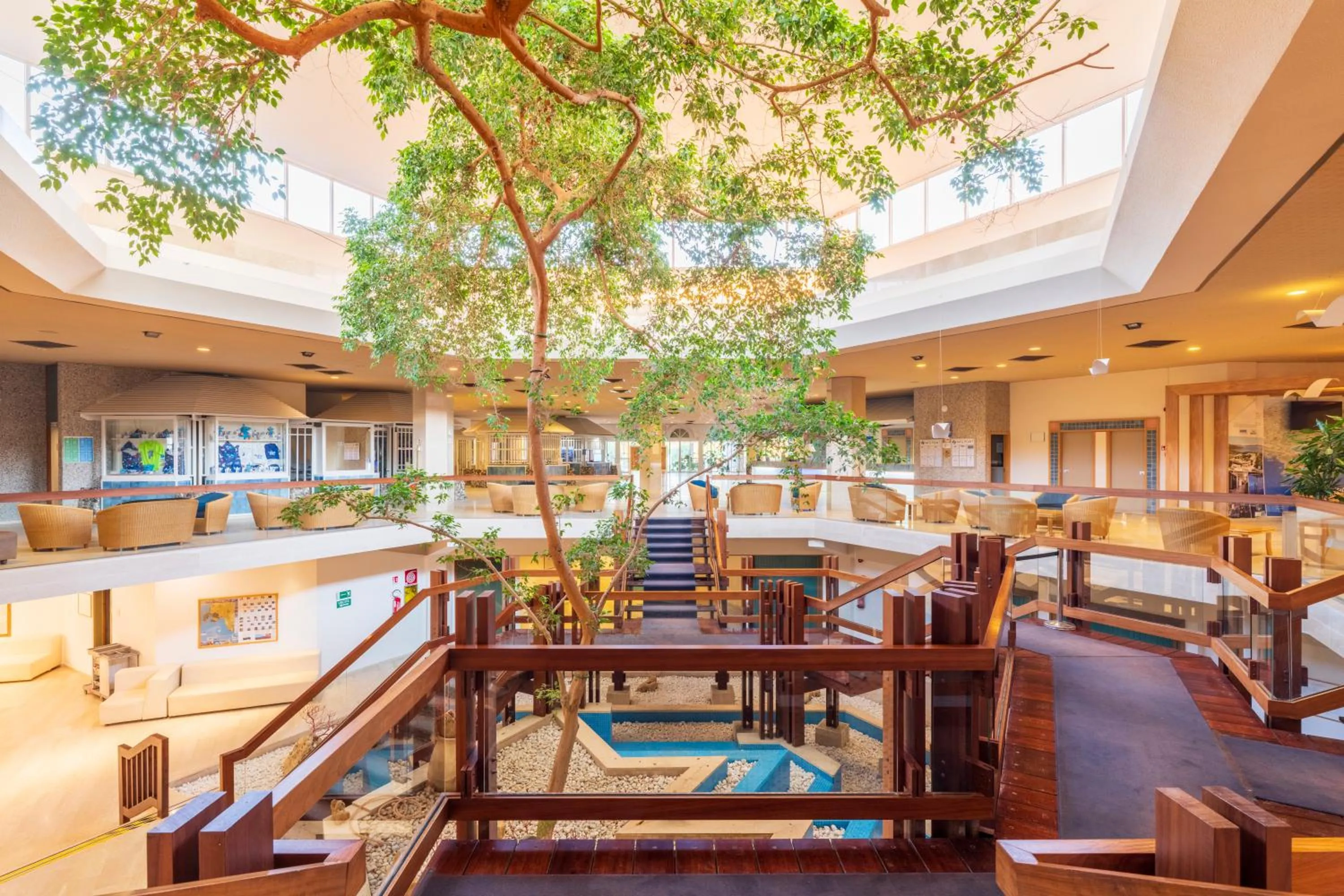 Restaurant/places to eat in Baia di Conte Resort