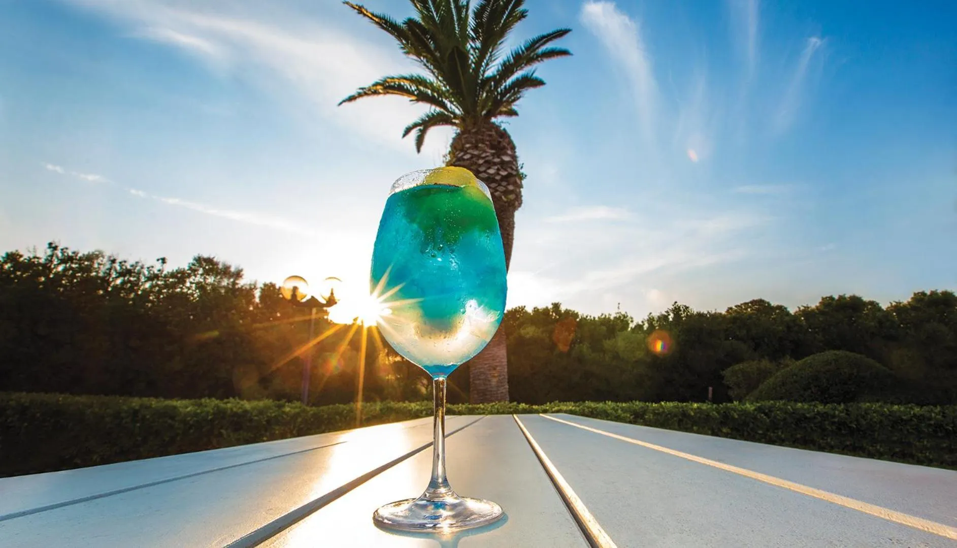 Lounge or bar in Baia di Conte Resort