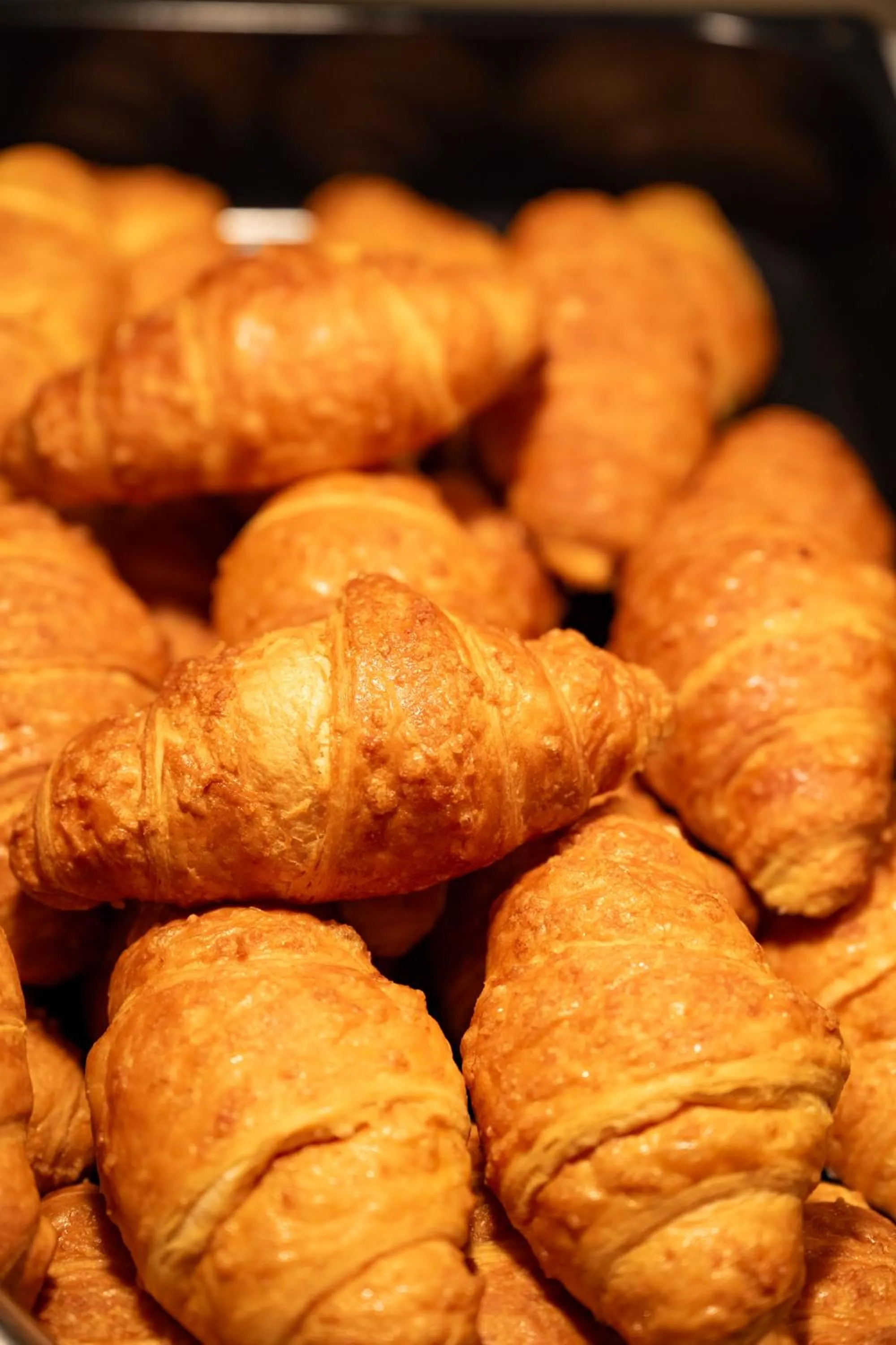 Food and drinks in Baia di Conte Resort