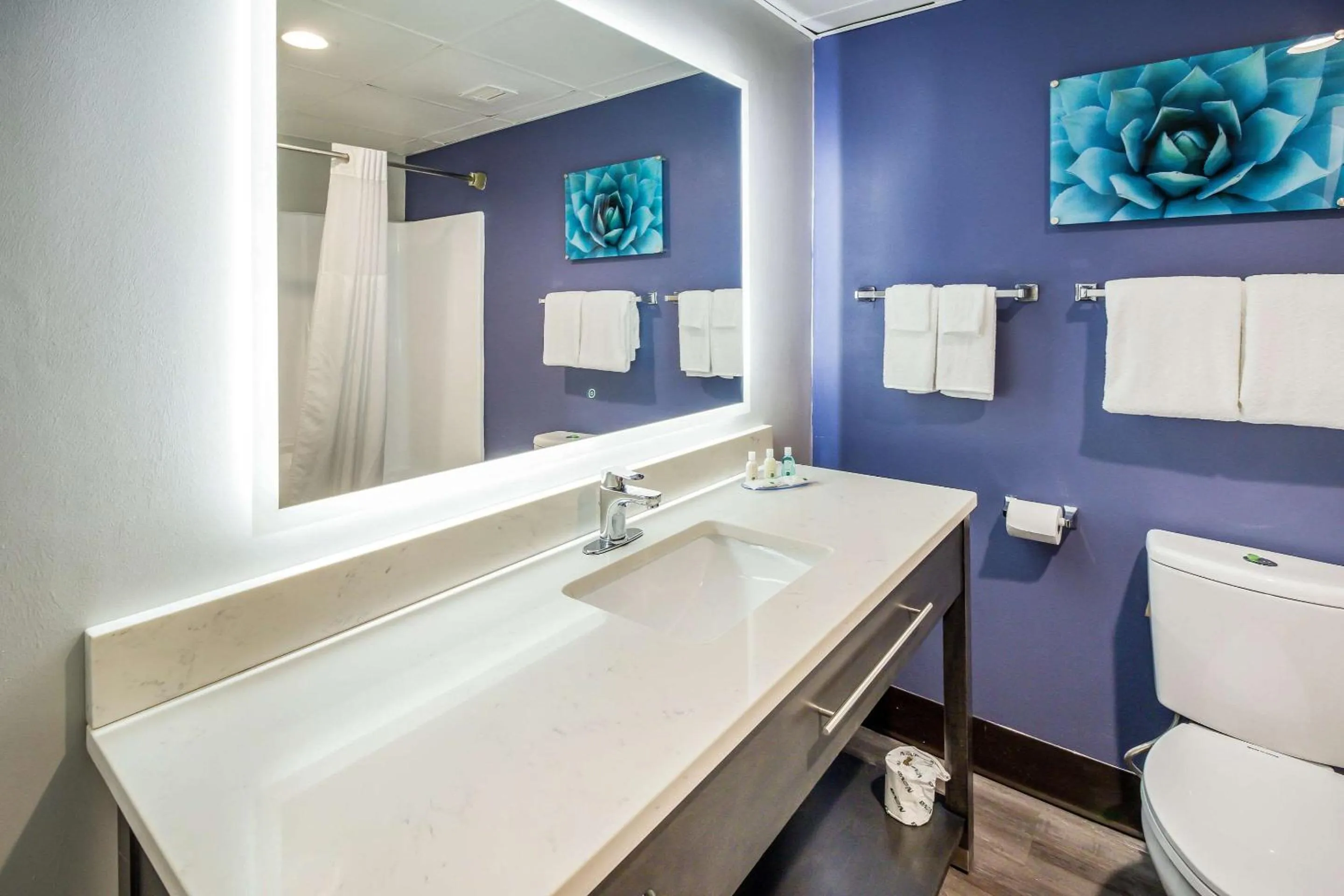 Toilet in Quality Inn near MCAS Cherry Point