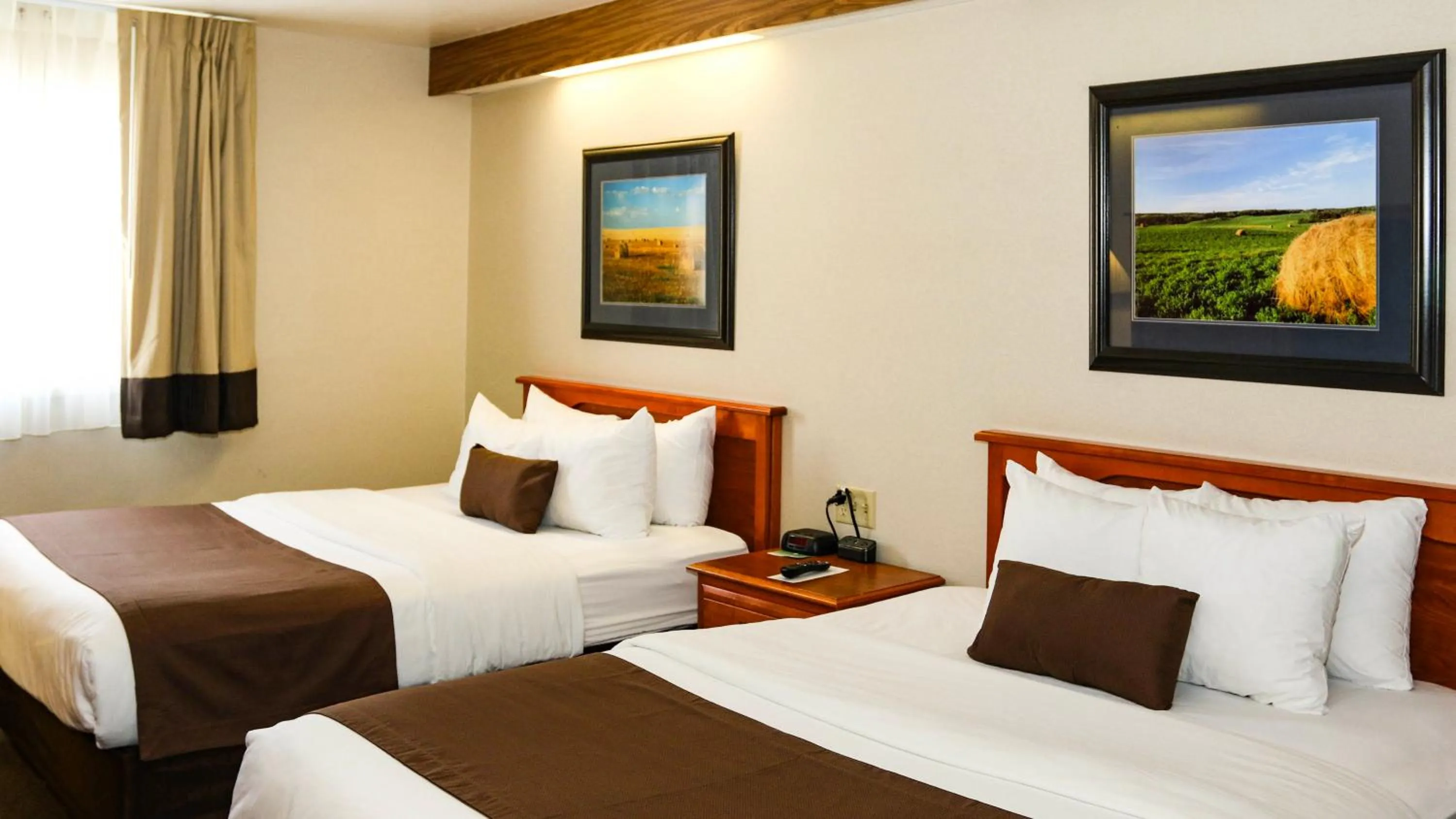 Bedroom, Bed in Motel 6 Minot, ND