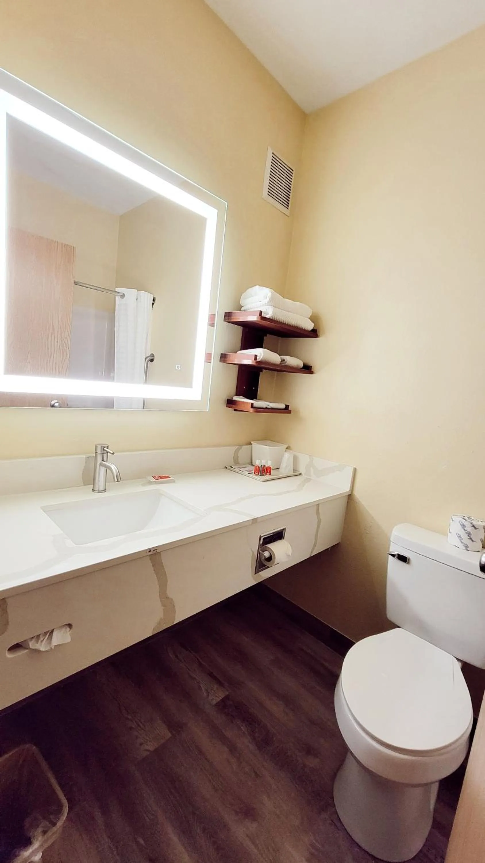 Bathroom in Econo Lodge Fargo - West Acres
