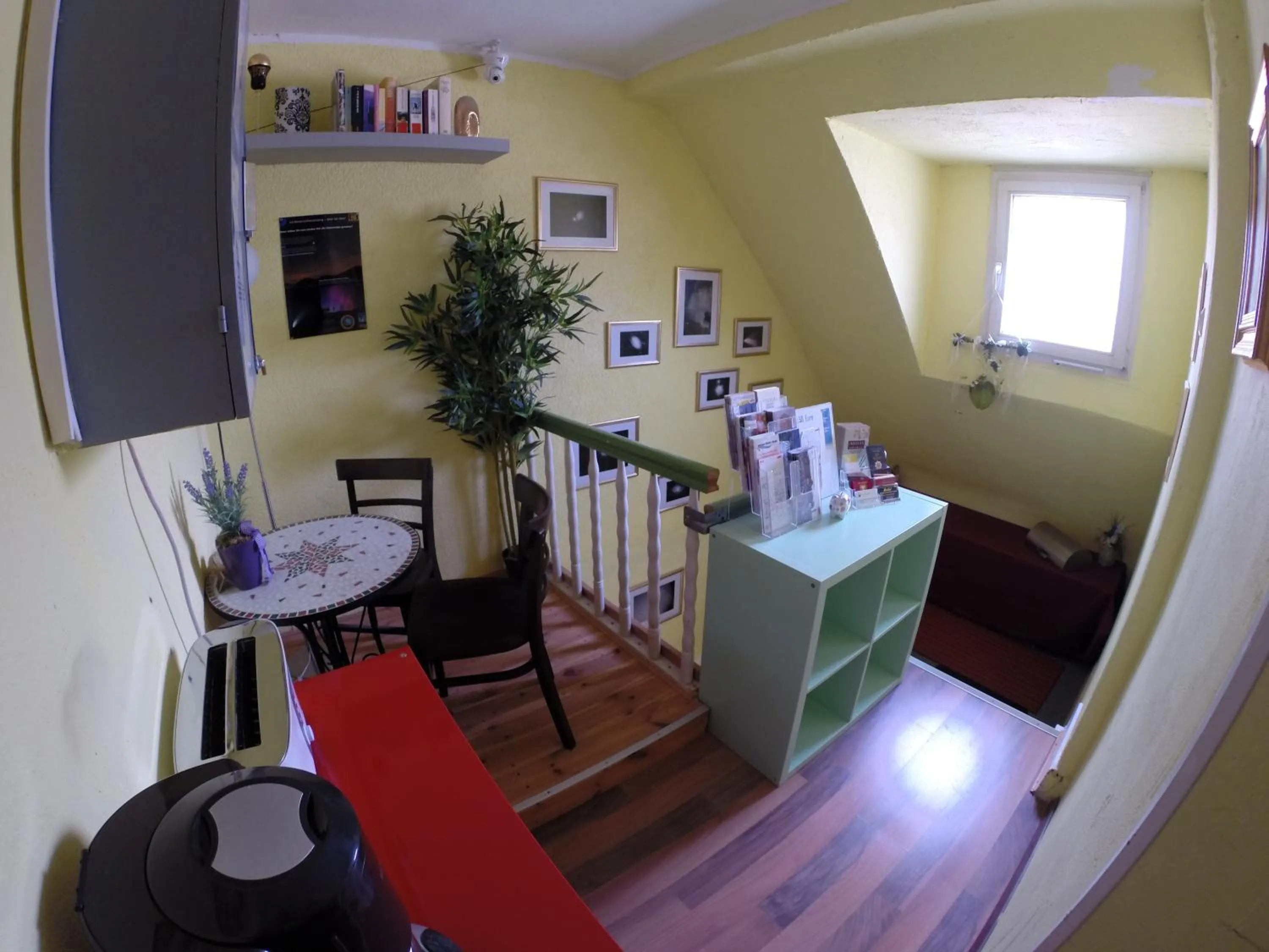 Decorative detail in StayInCologne