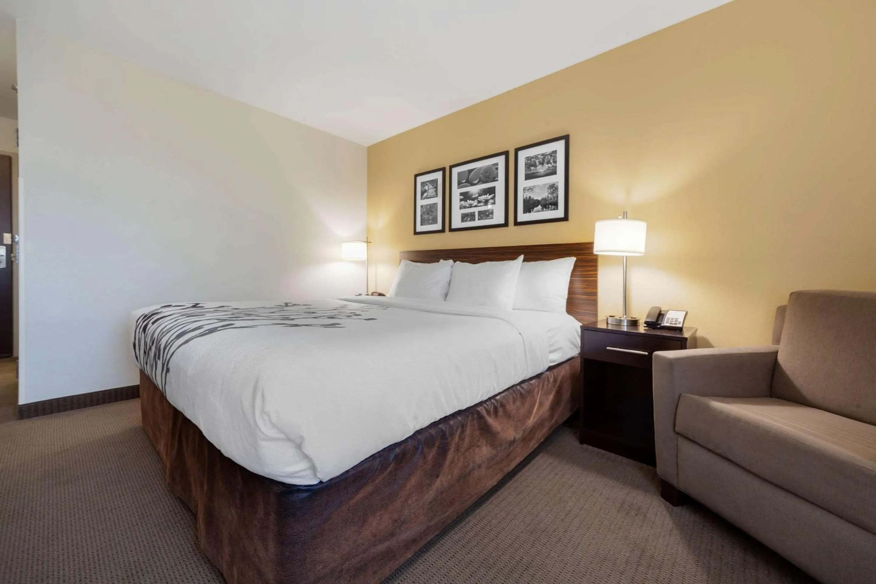 Bedroom, Bed in Sleep Inn & Suites Bismarck I-94