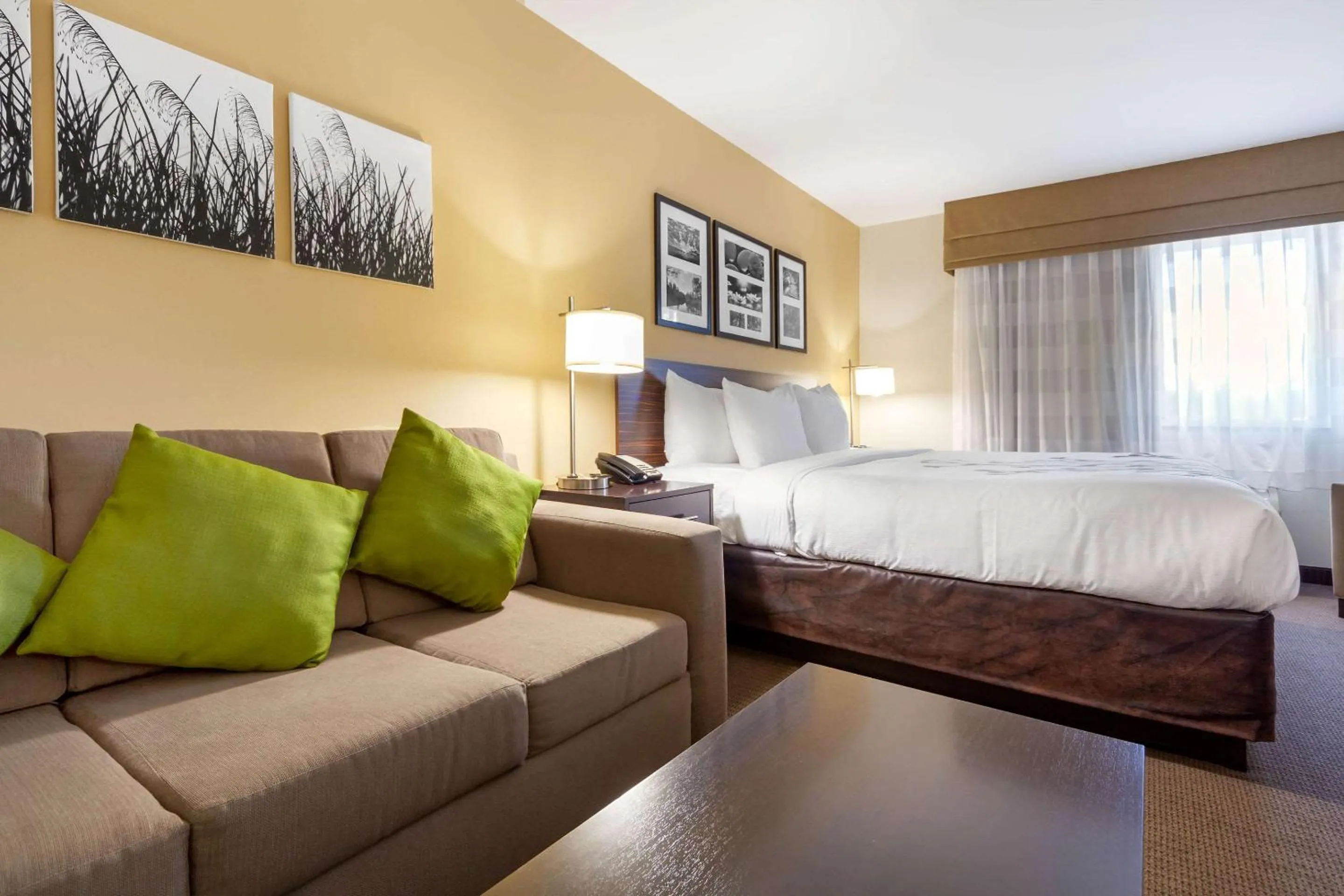 Bedroom, Bed in Sleep Inn & Suites Bismarck I-94