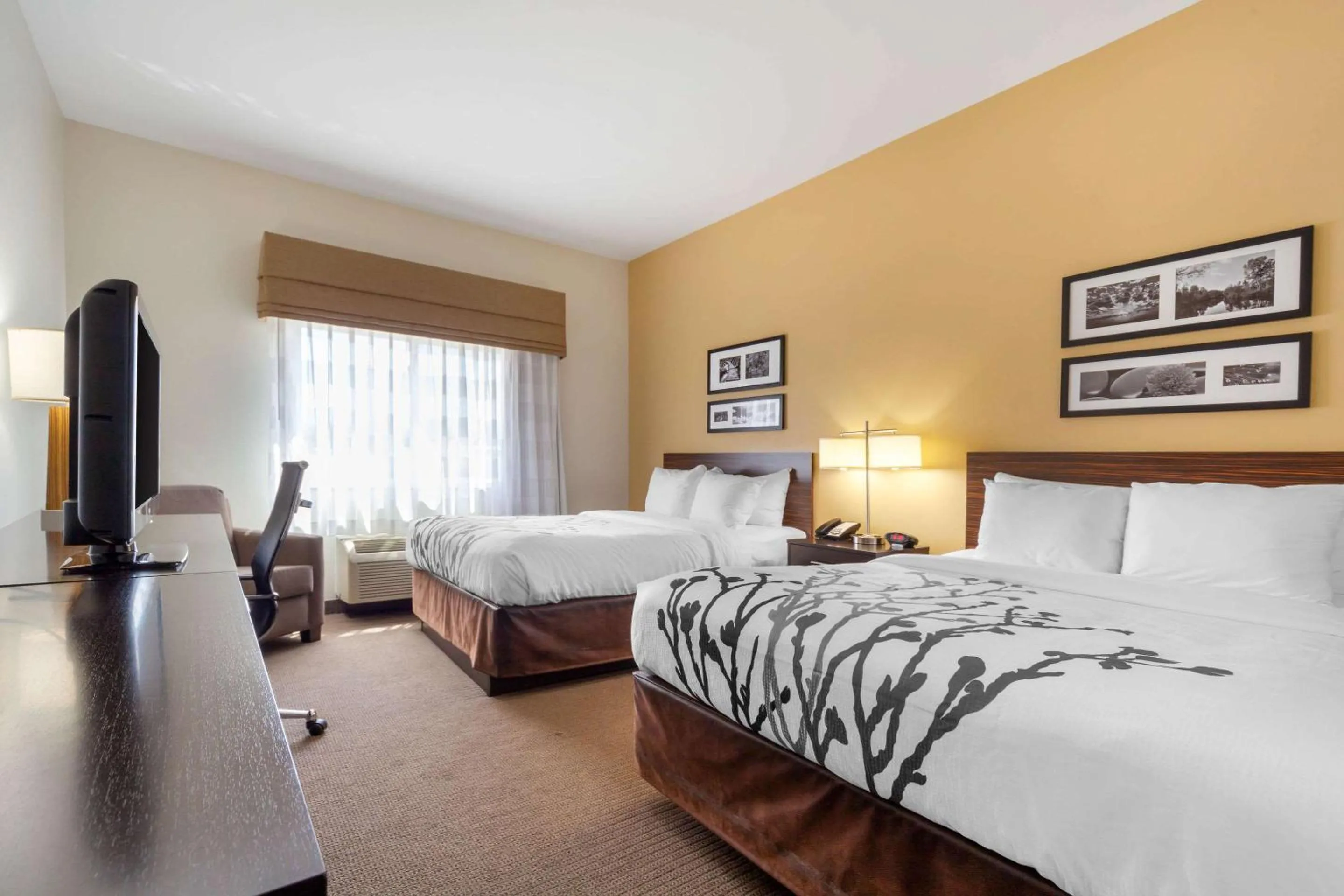 Bedroom, Bed in Sleep Inn & Suites Bismarck I-94