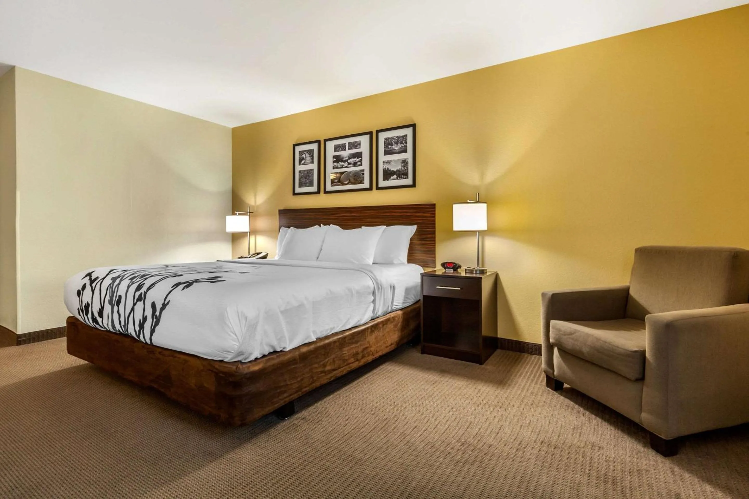 Bedroom, Bed in Sleep Inn & Suites Fargo Medical Center