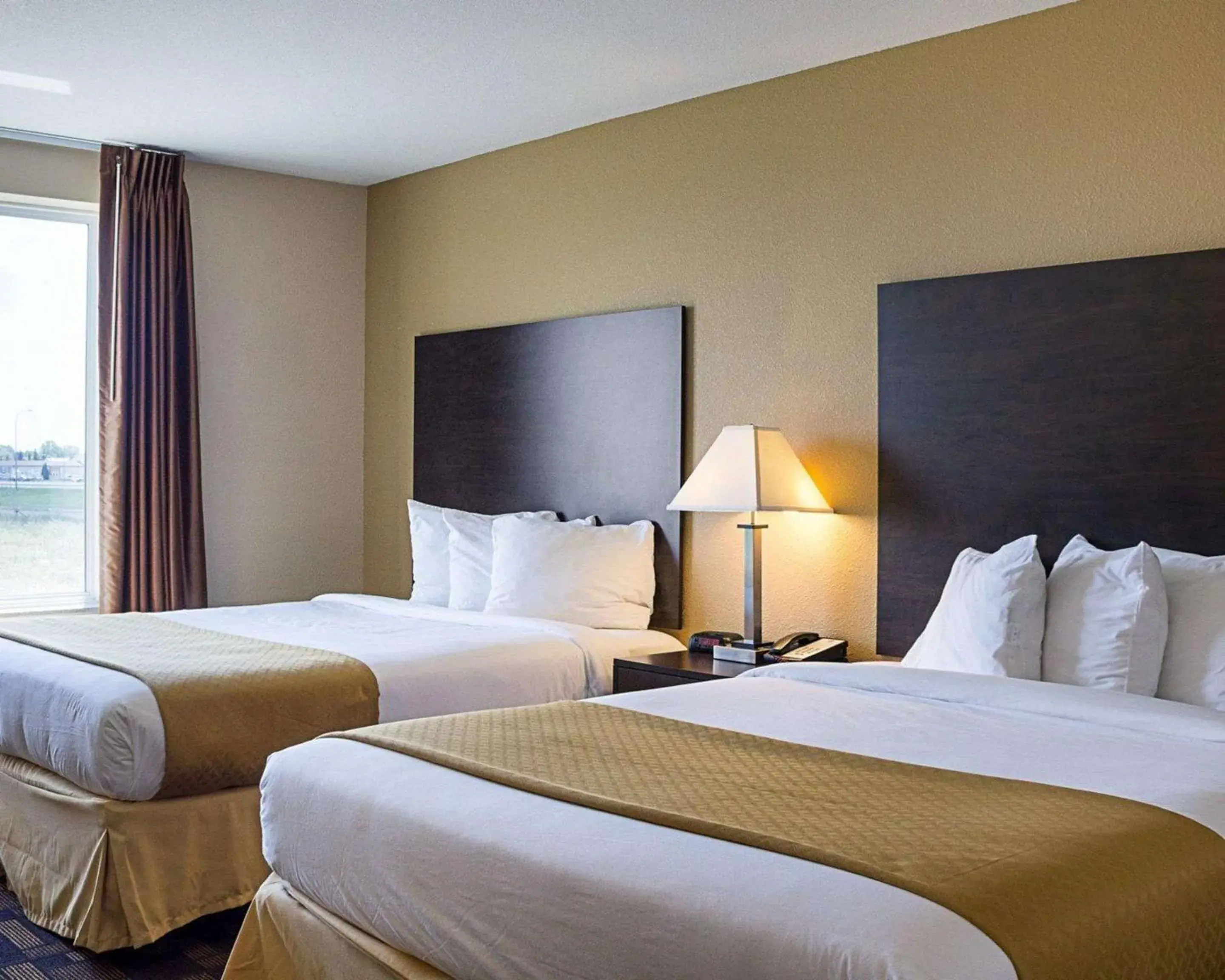 Photo of the whole room, Bed in Quality Inn & Suites Minot North Photo of the whole room, Bed in Quality Inn & Suites Minot North