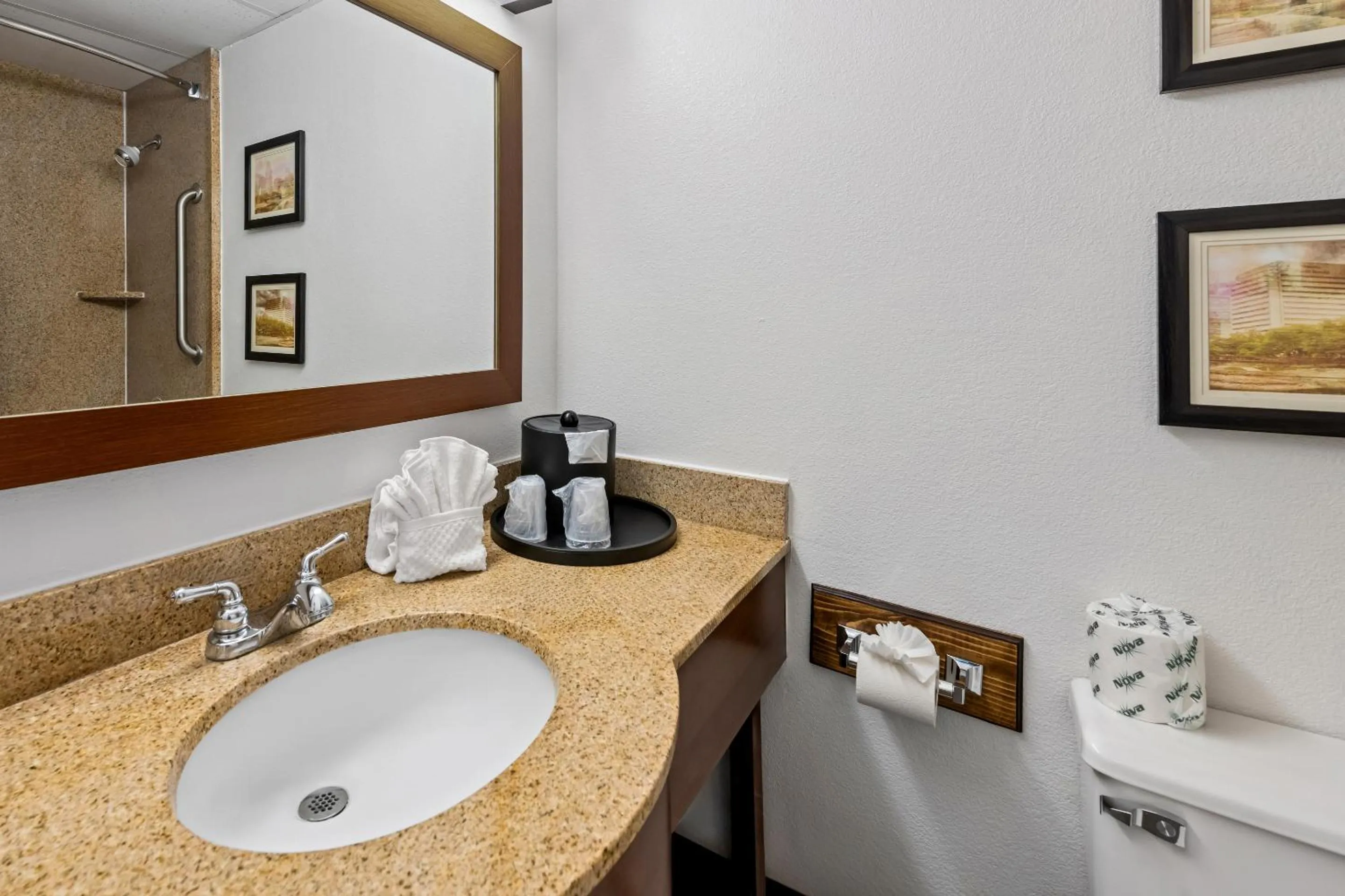 Bathroom in Comfort Inn & Suites Omaha Central