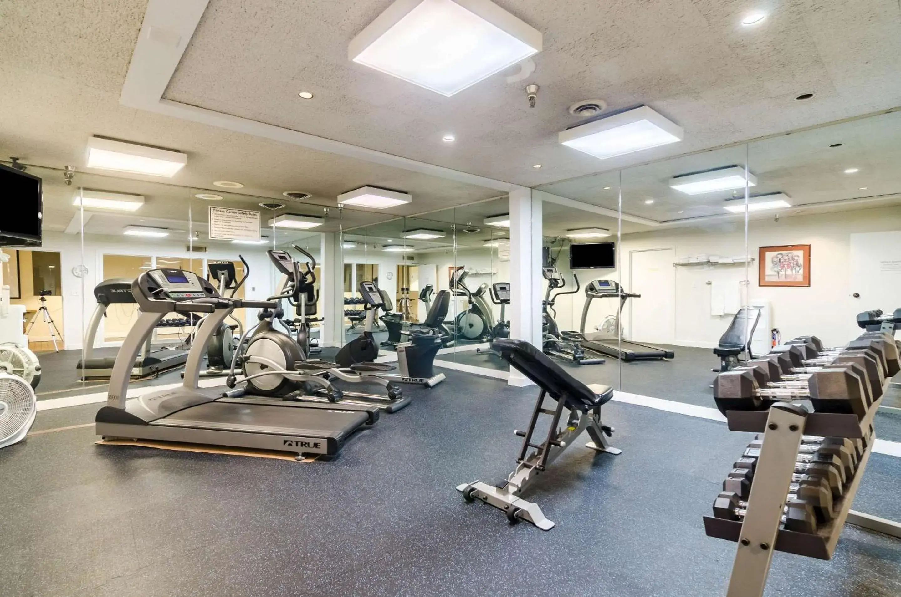 Fitness centre/facilities in Quality Inn & Suites Fitness centre/facilities in Quality Inn & Suites