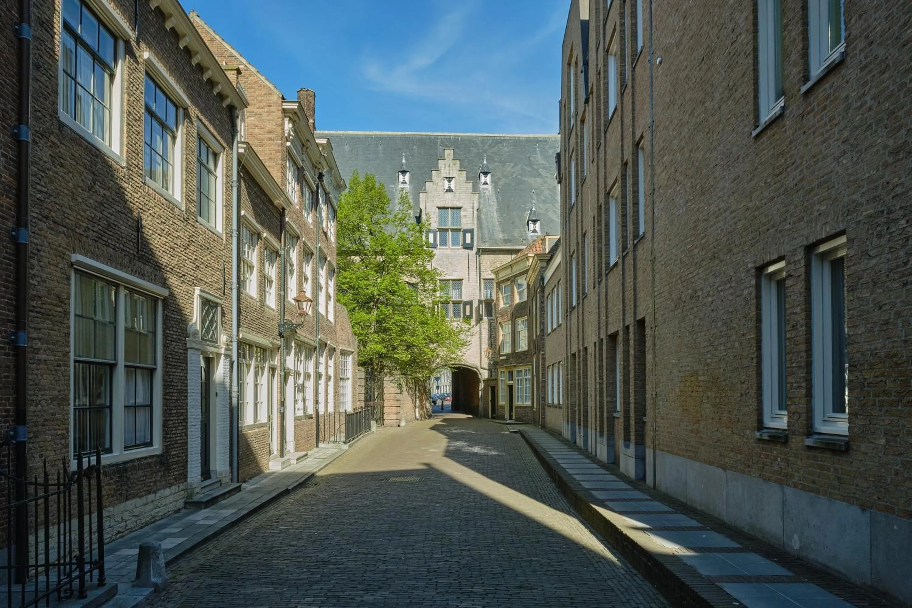 Neighbourhood in Het Gecroonde Swaert B&B