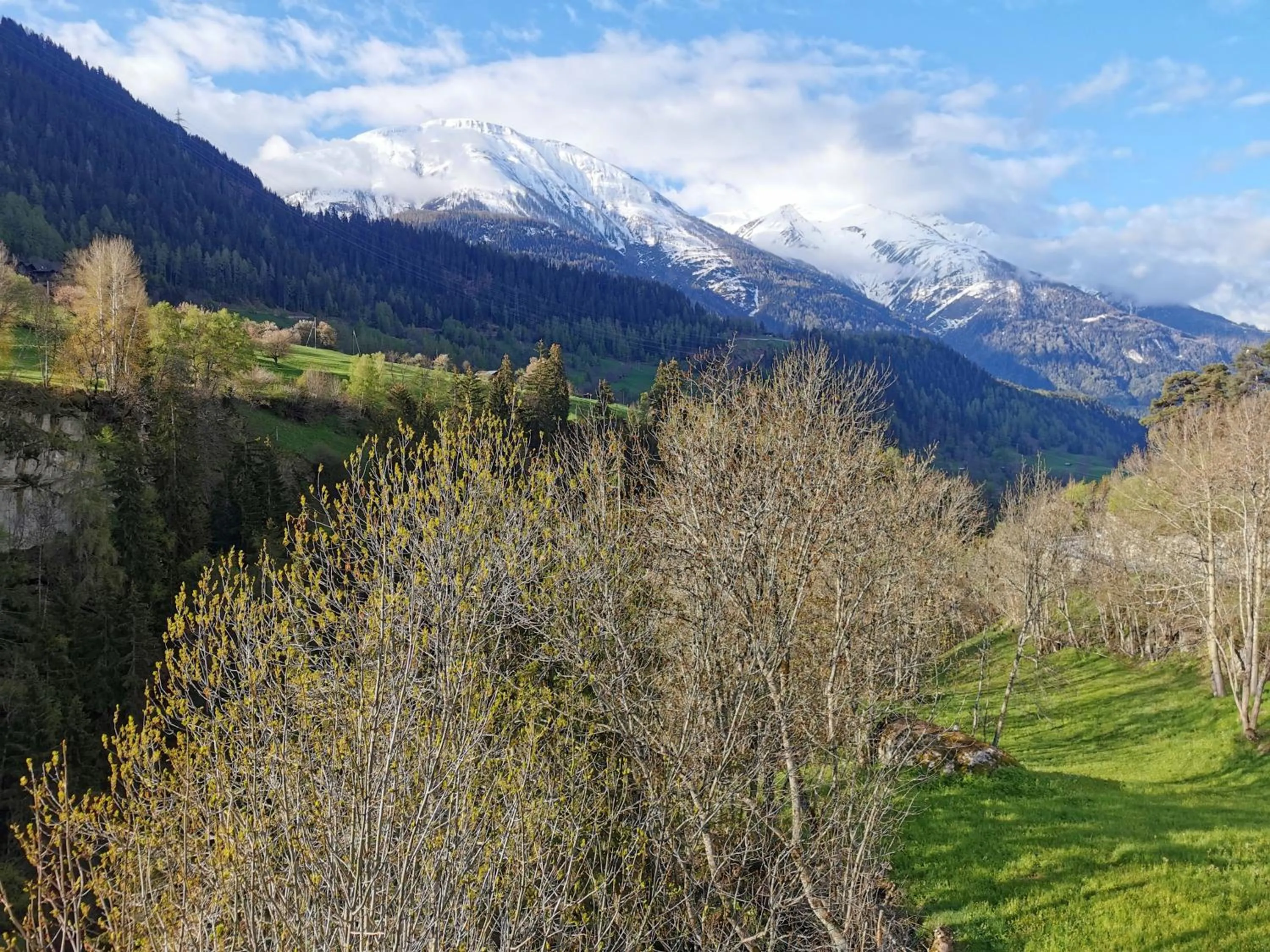 Natural landscape in Hotel Derby