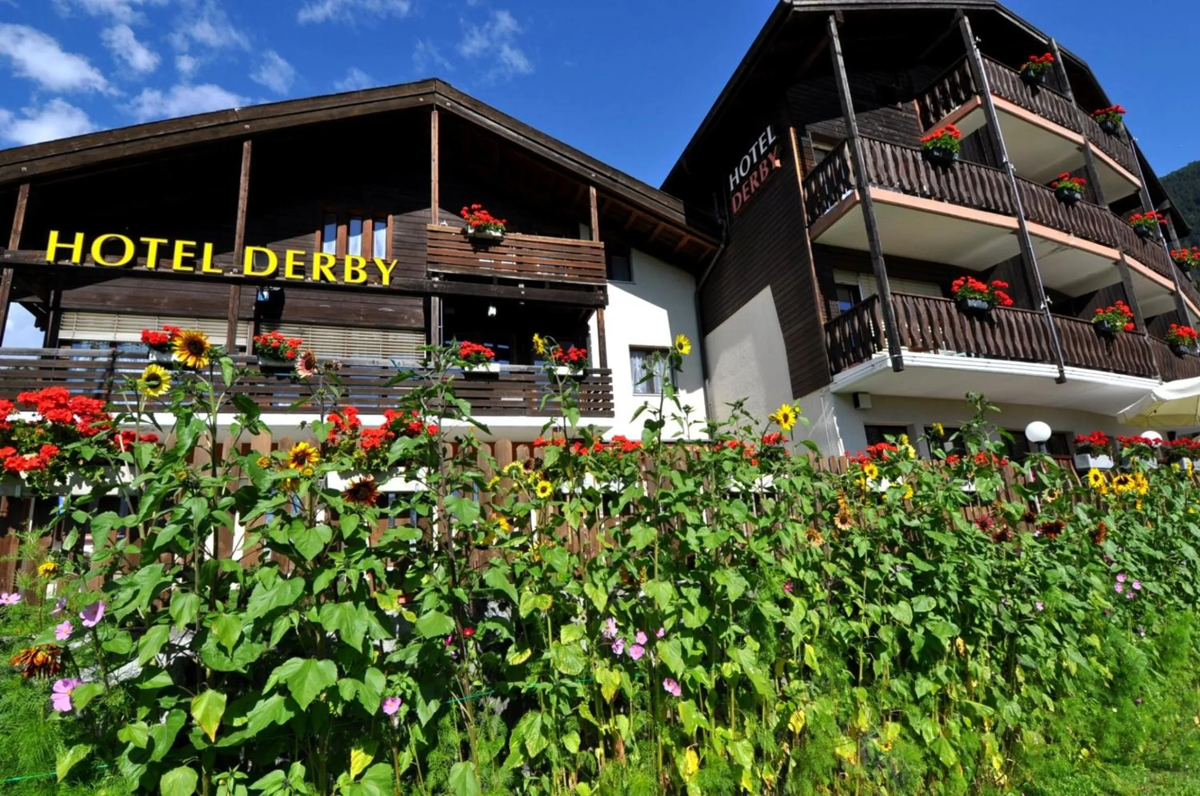 Facade/entrance in Hotel Derby