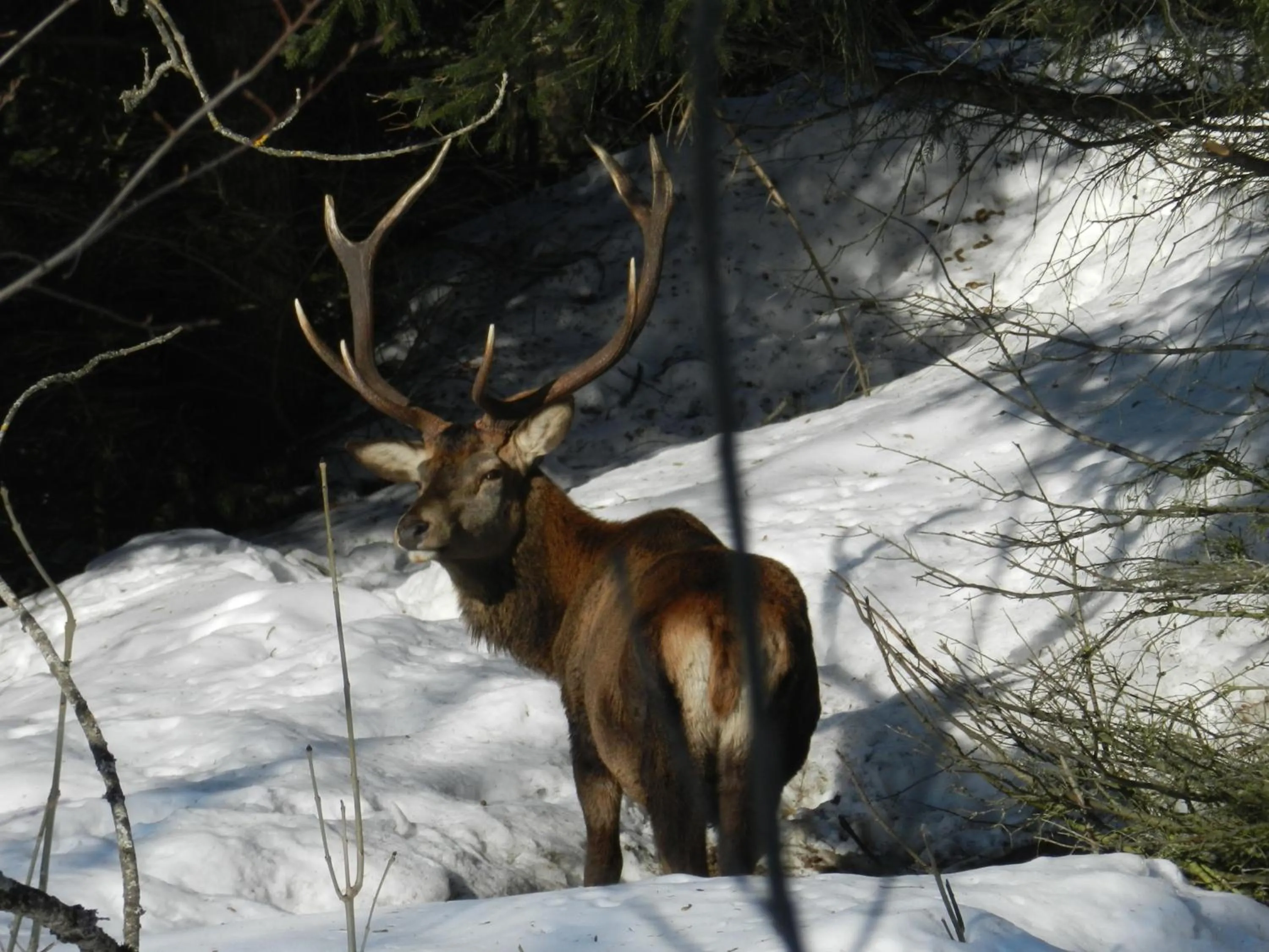 View (from property/room) in Hotel Derby