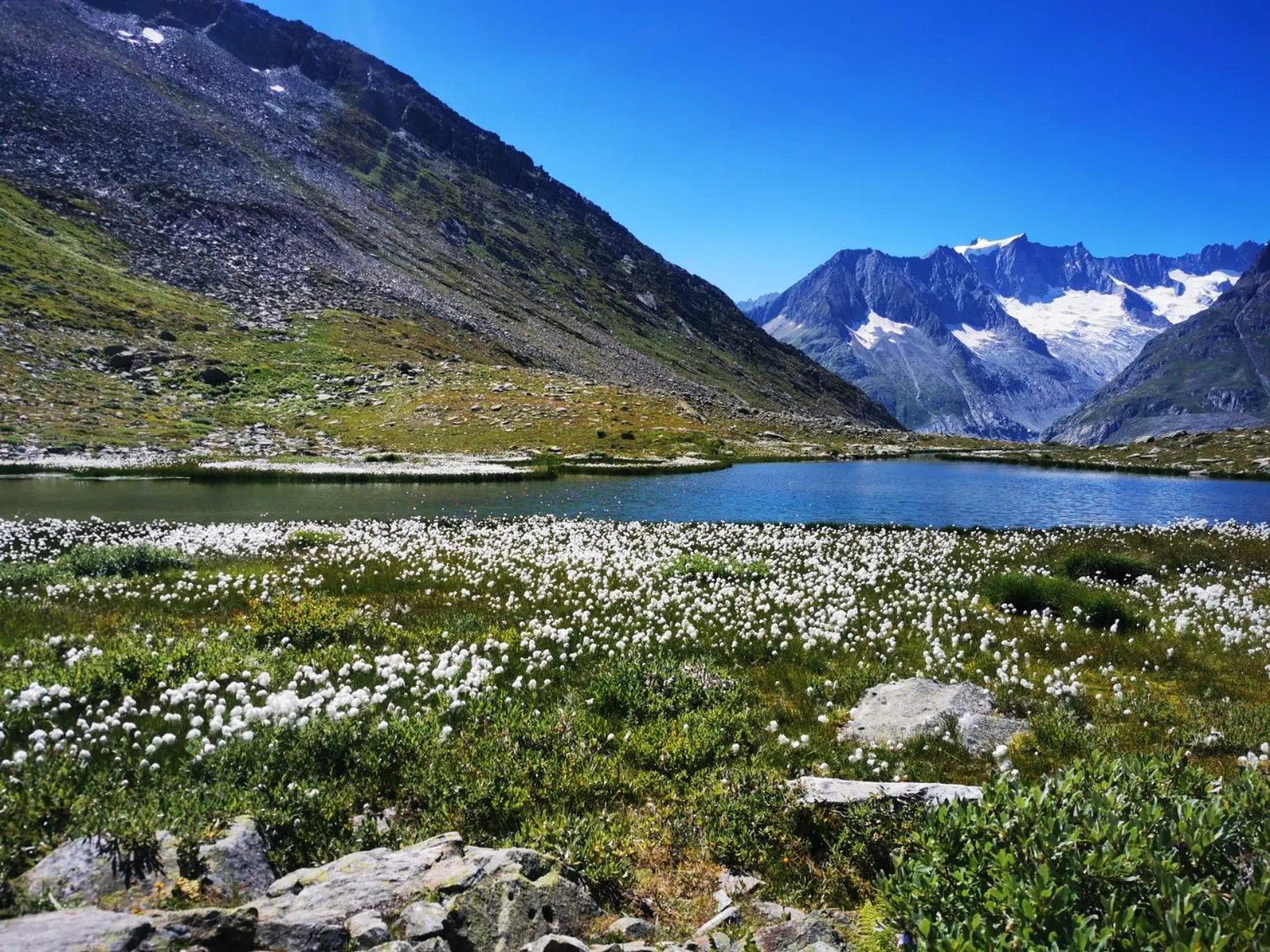 Natural landscape in Hotel Derby