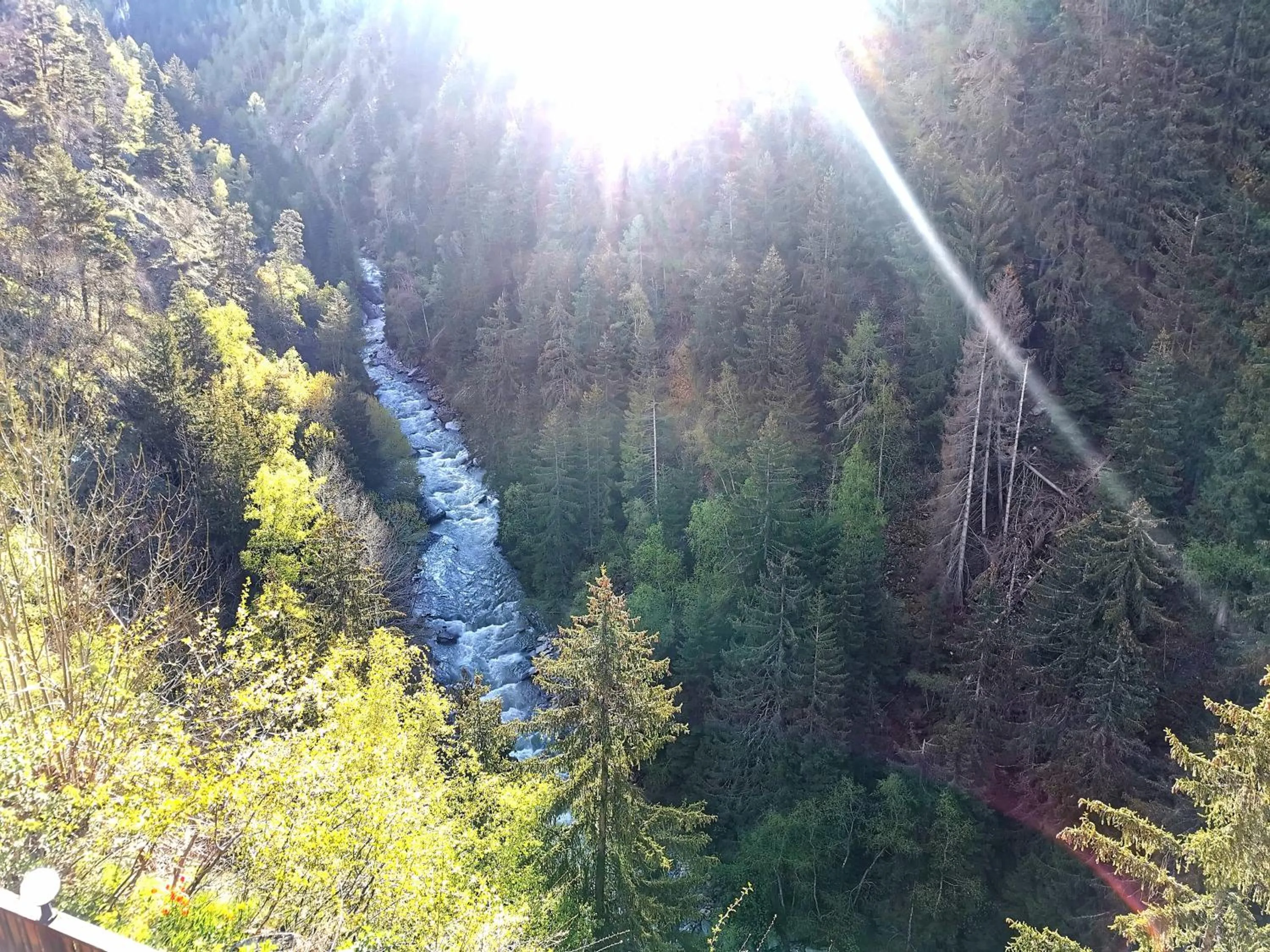 Natural landscape in Hotel Derby
