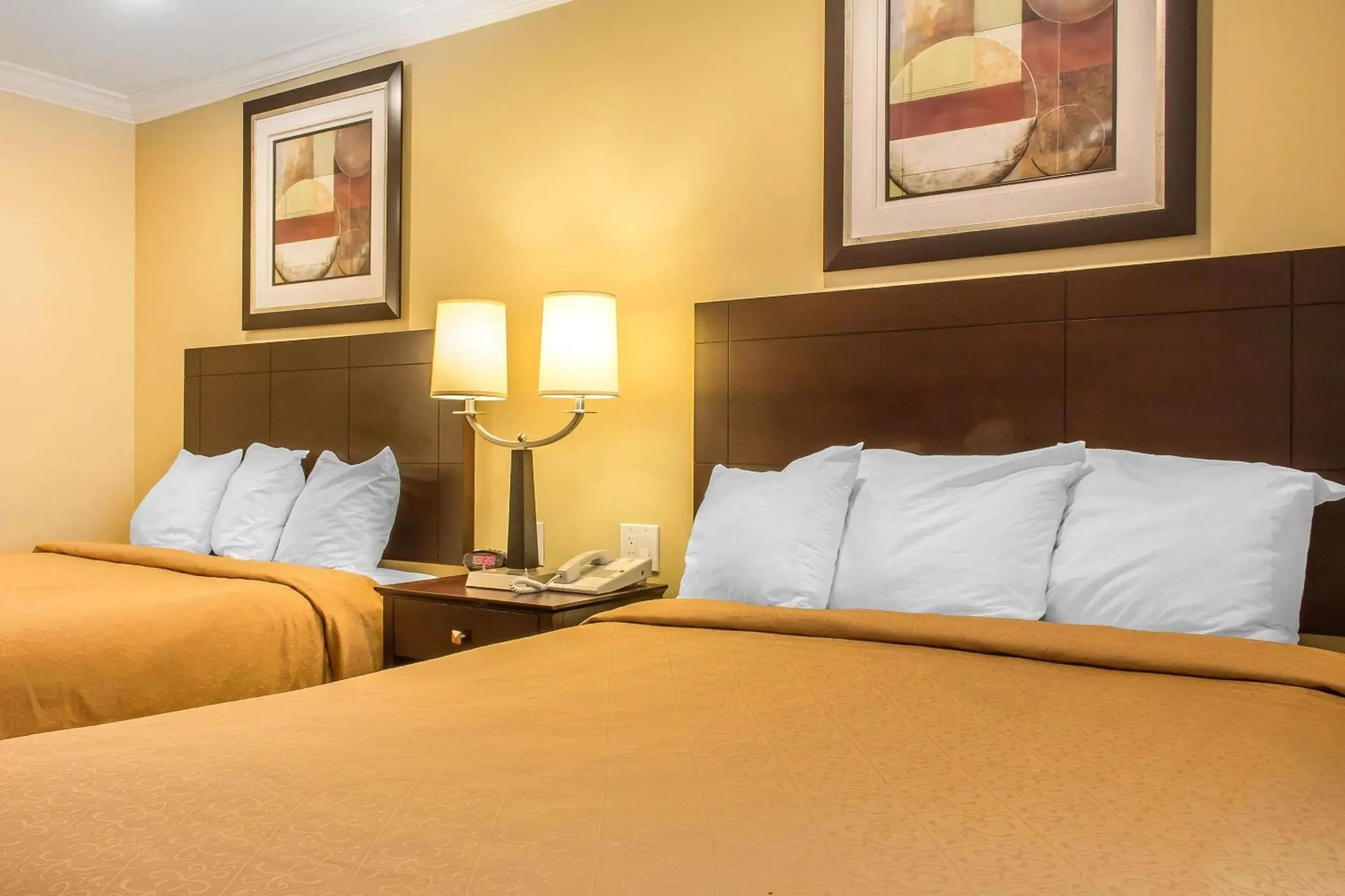 Photo of the whole room, Bed in Quality Inn near Mountain Creek Photo of the whole room, Bed in Quality Inn near Mountain Creek