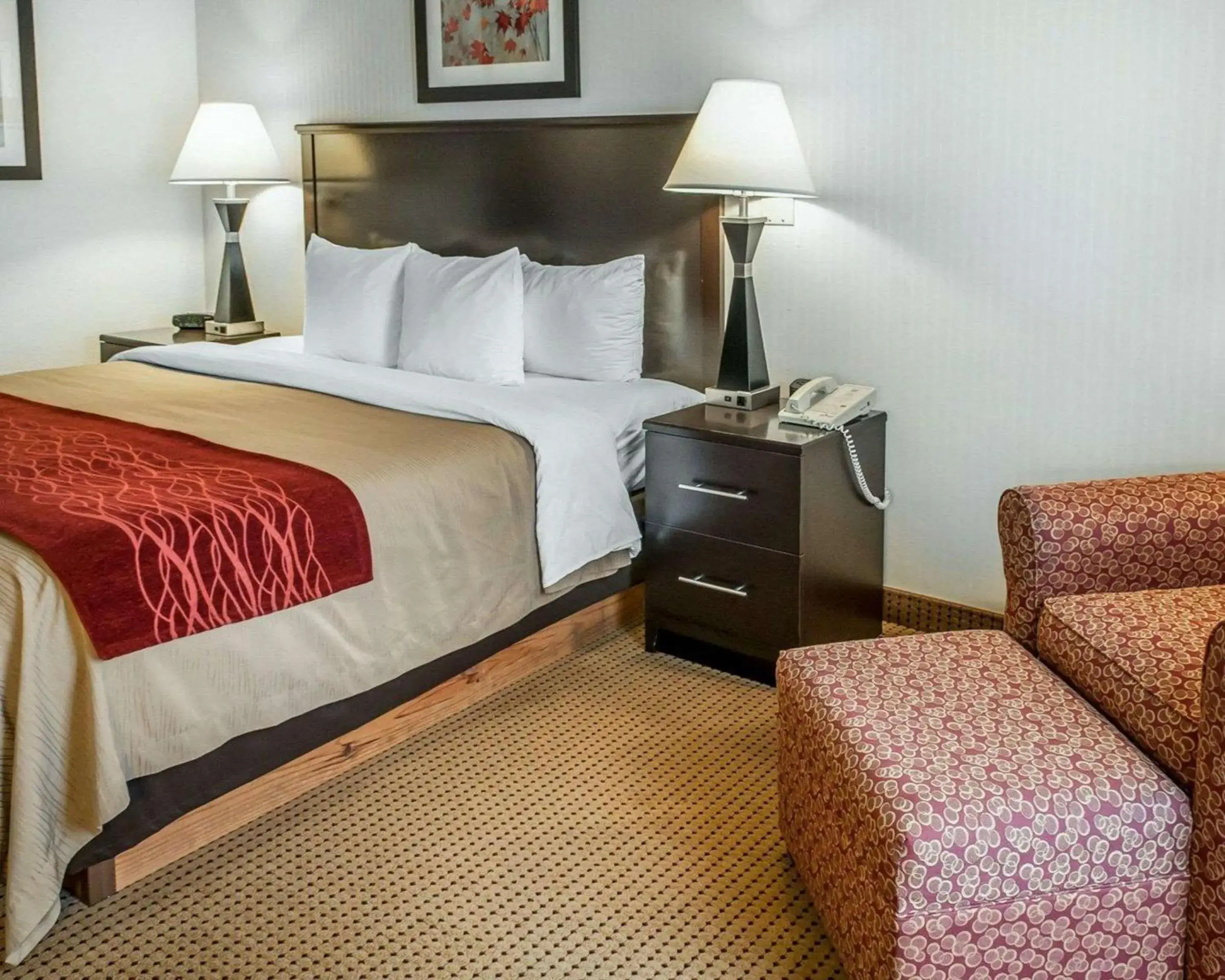 Photo of the whole room, Bed in Quality Inn & Suites Farmington Photo of the whole room, Bed in Quality Inn & Suites Farmington