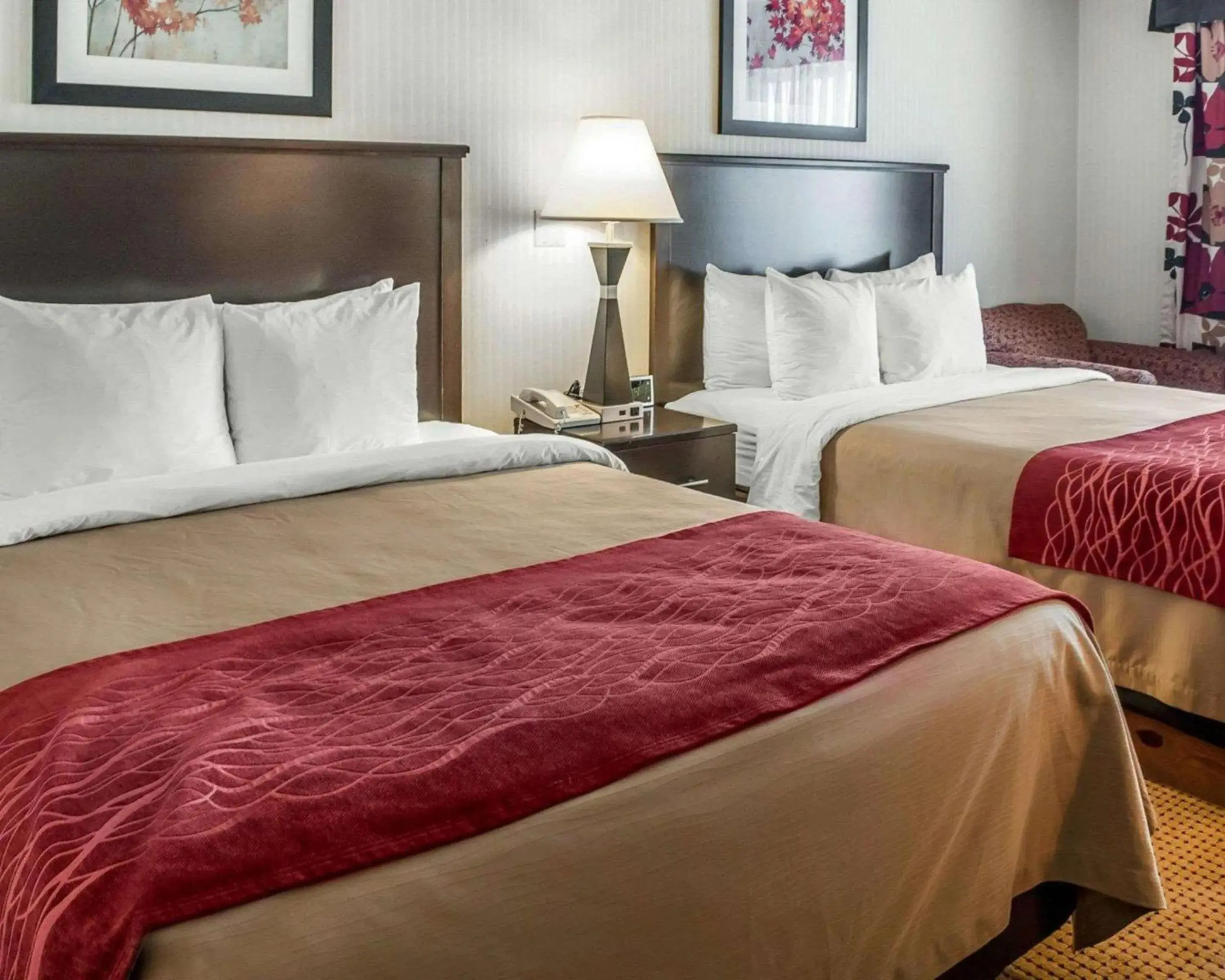 Photo of the whole room, Bed in Quality Inn & Suites Farmington Photo of the whole room, Bed in Quality Inn & Suites Farmington