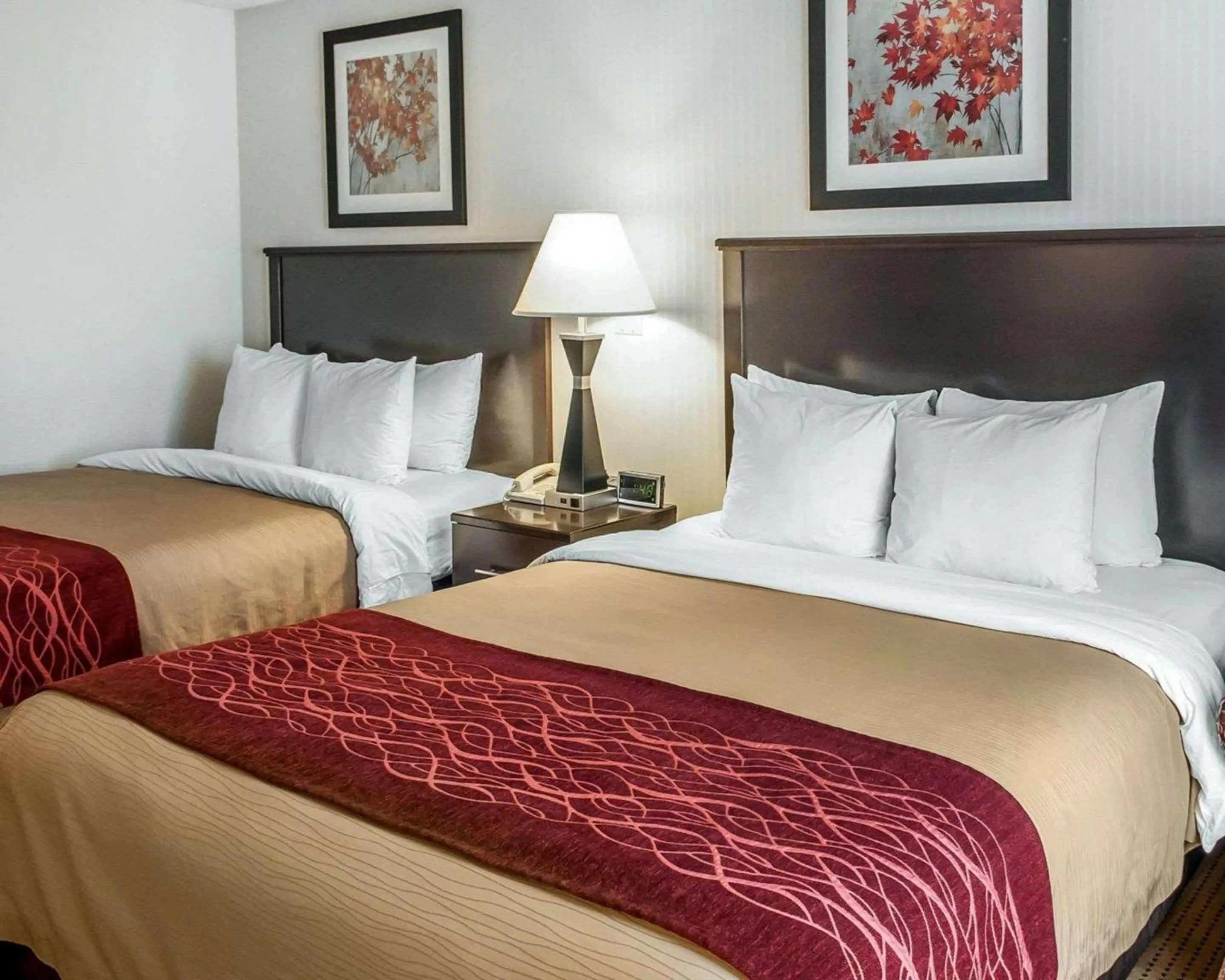 Photo of the whole room, Bed in Quality Inn & Suites Farmington