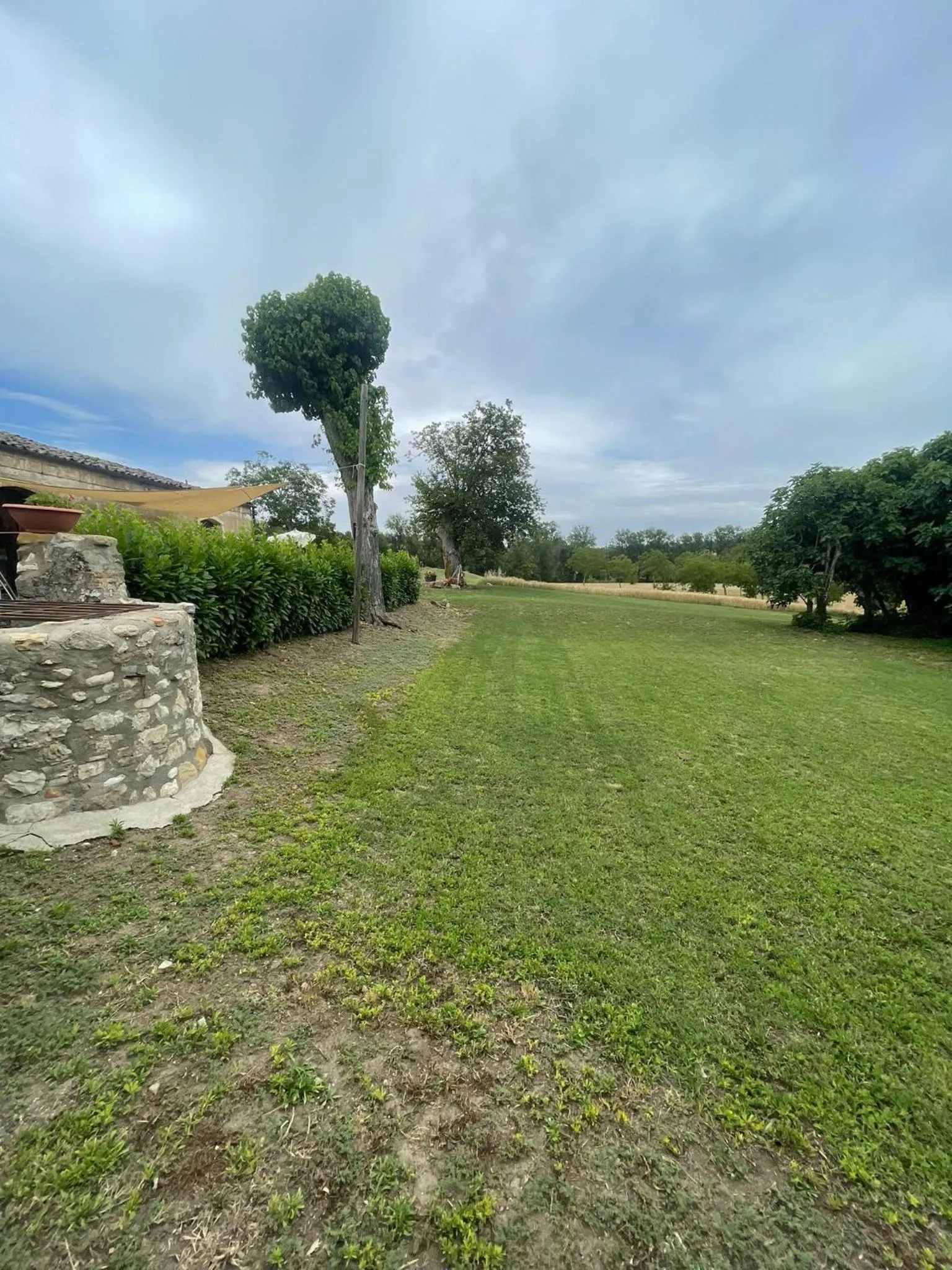 Garden view in B&B Relais Aeclanum
