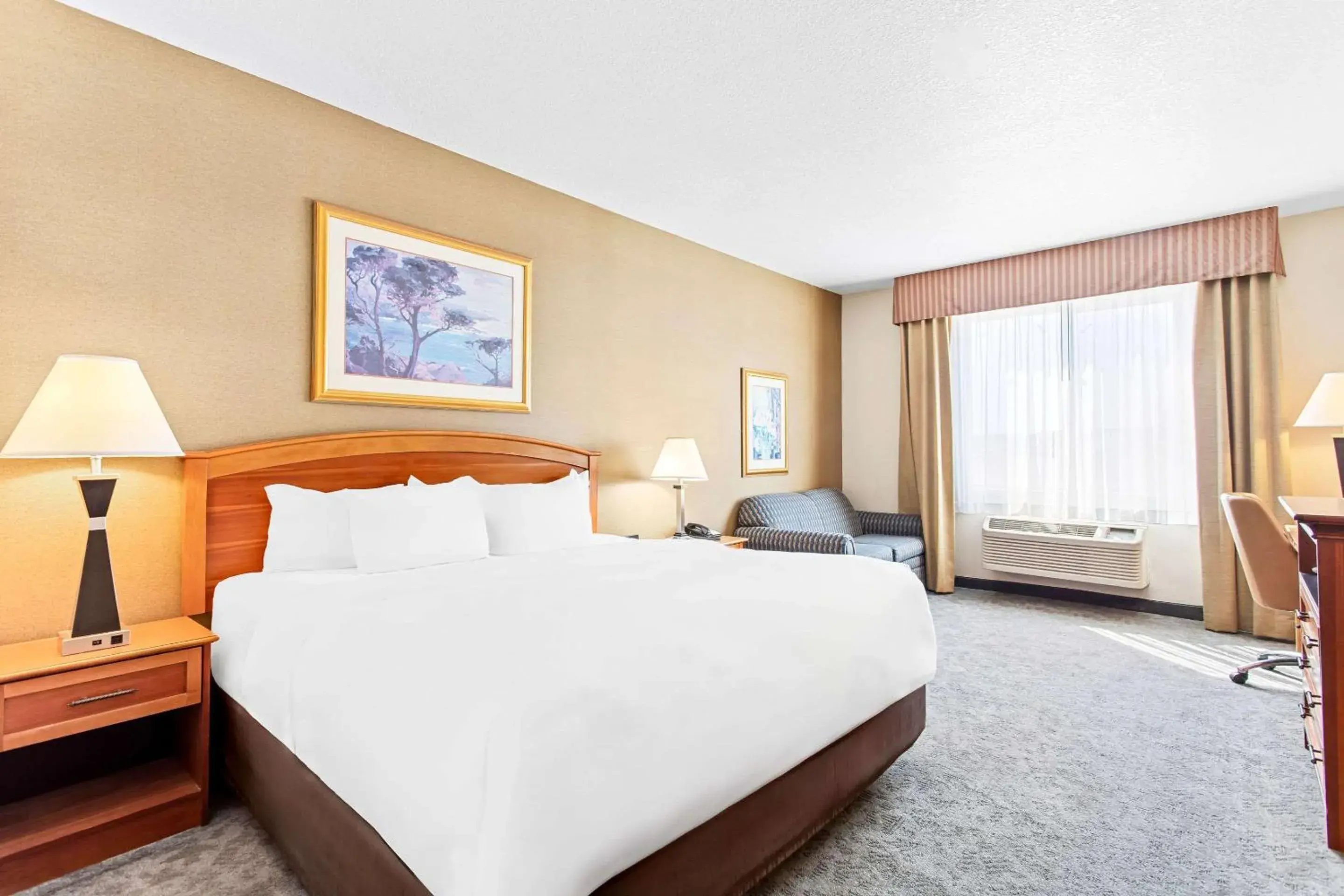 Bedroom, Bed in Comfort Inn & Suites I-25 near Spaceport America Bedroom, Bed in Comfort Inn & Suites I-25 near Spaceport America