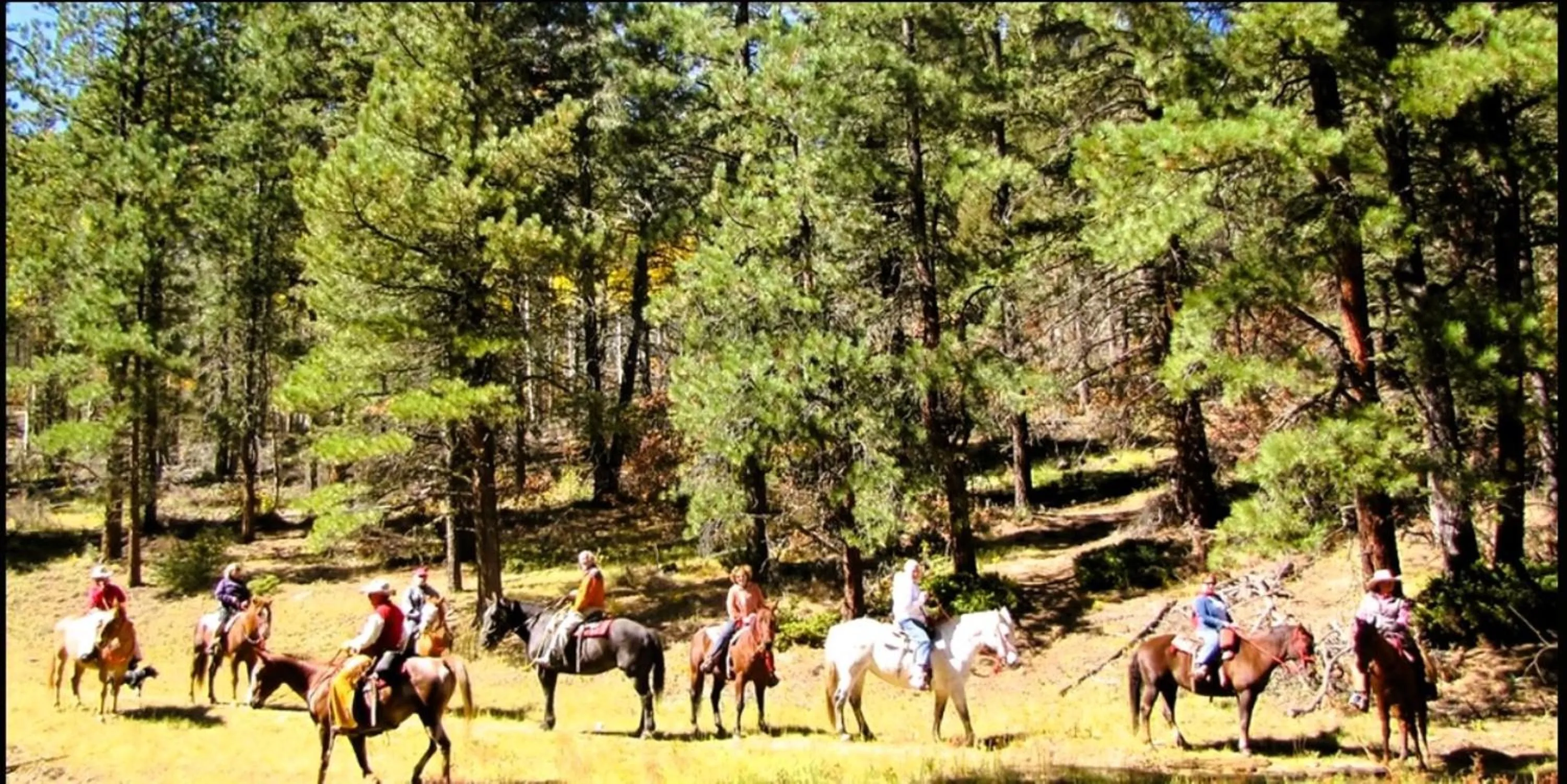 Horse-riding in Econo Lodge Eagle Nest