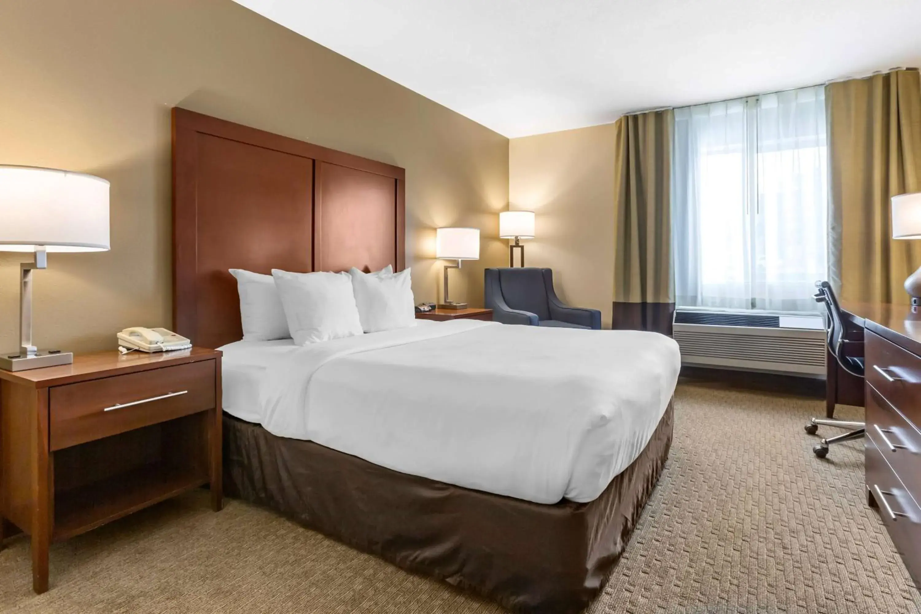 Photo of the whole room, Bed in Wingate by Wyndham Los Alamos Photo of the whole room, Bed in Wingate by Wyndham Los Alamos