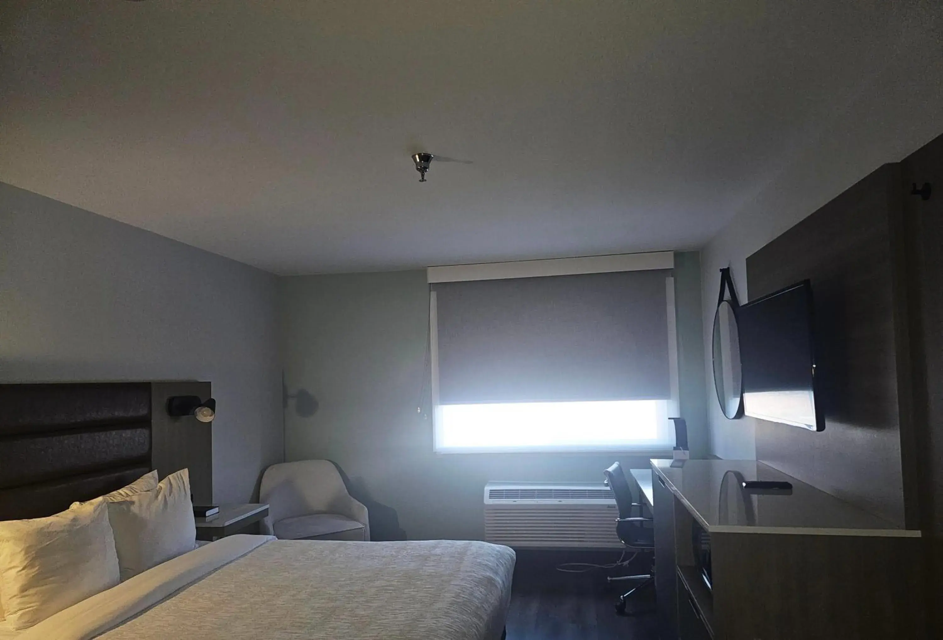 Photo of the whole room, Bed in Wingate by Wyndham Los Alamos Photo of the whole room, Bed in Wingate by Wyndham Los Alamos