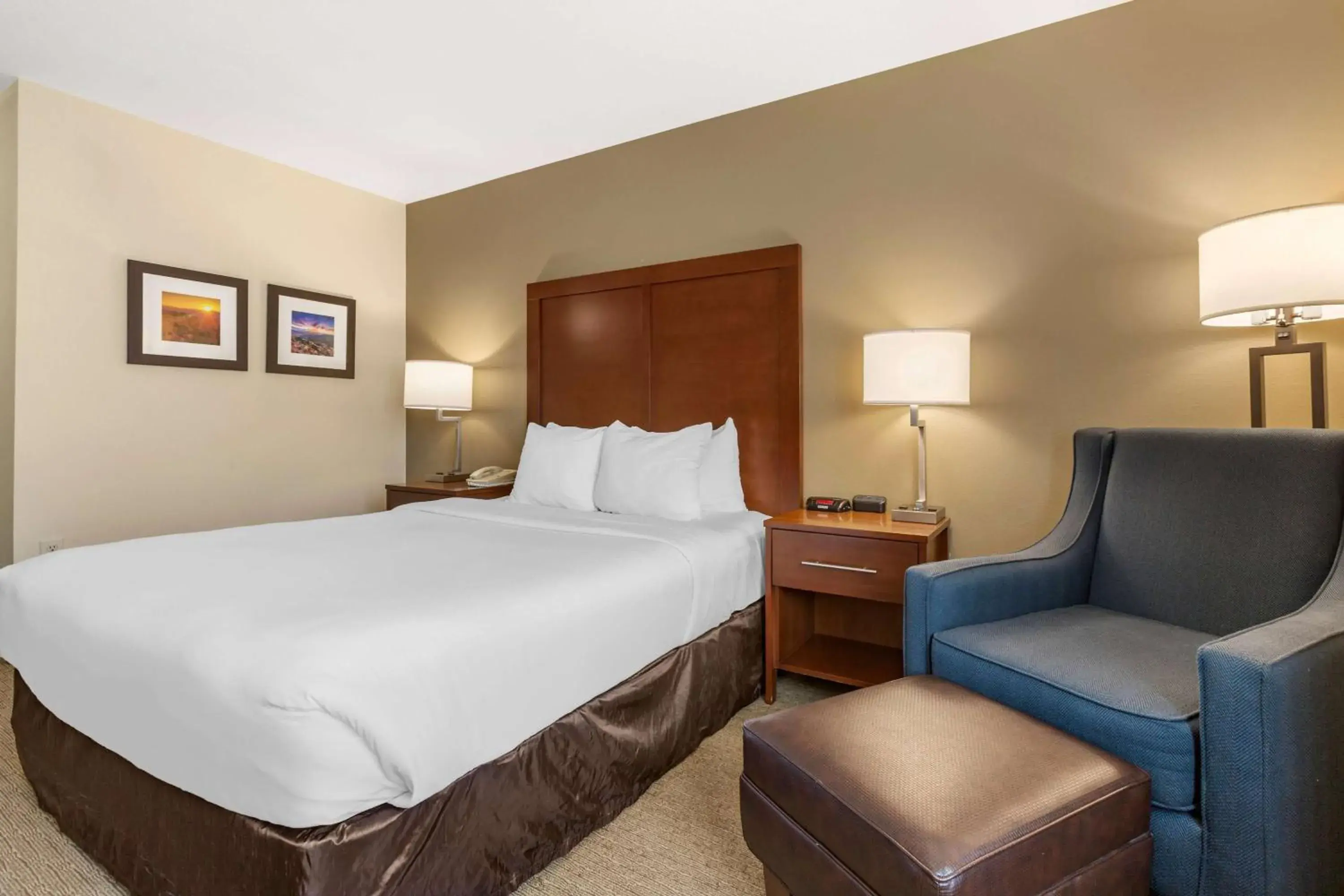 Photo of the whole room, Bed in Wingate by Wyndham Los Alamos Photo of the whole room, Bed in Wingate by Wyndham Los Alamos