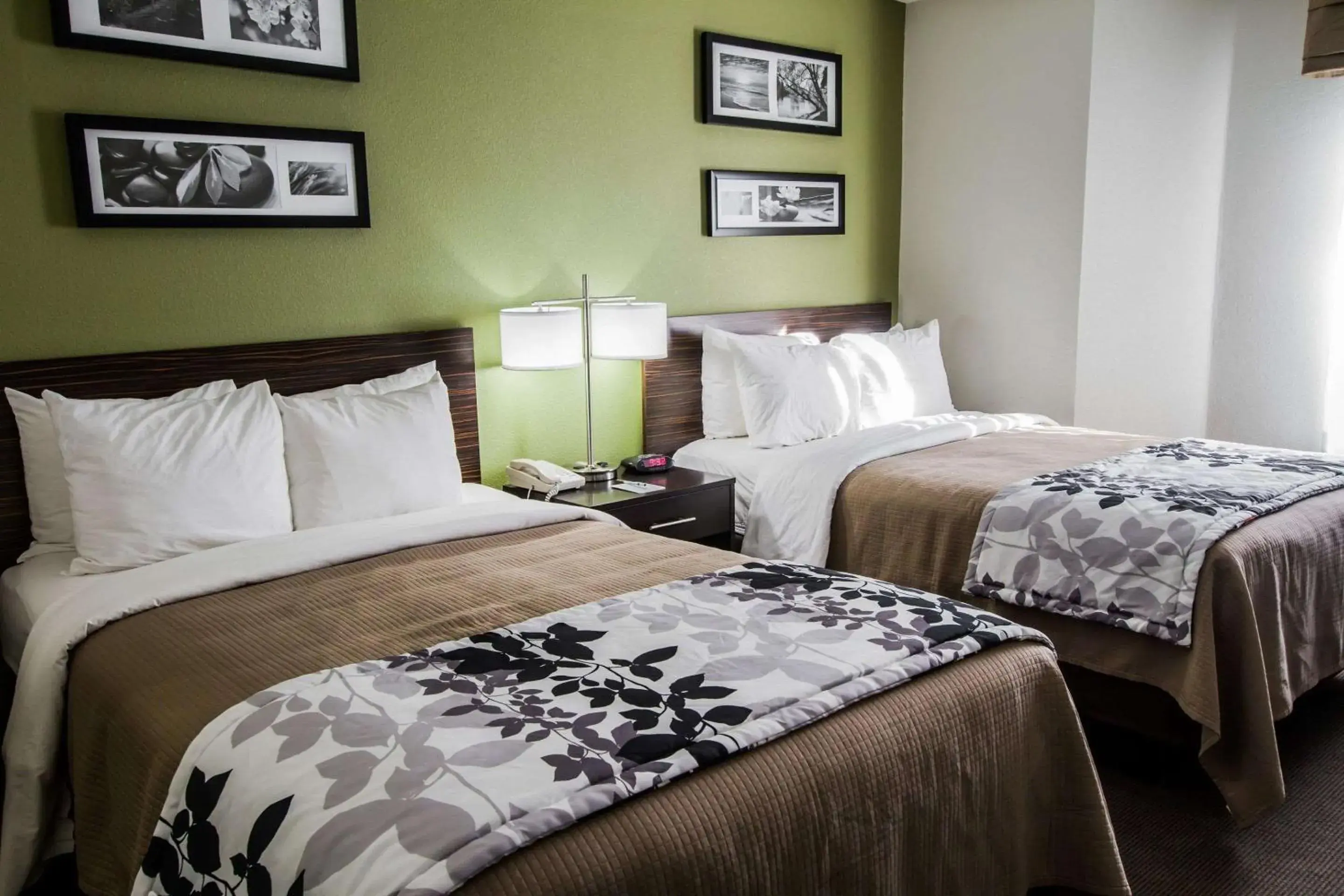 Double Room with Two Double Beds - Non-Smoking in Sleep Inn Gallup Double Room with Two Double Beds - Non-Smoking in Sleep Inn Gallup