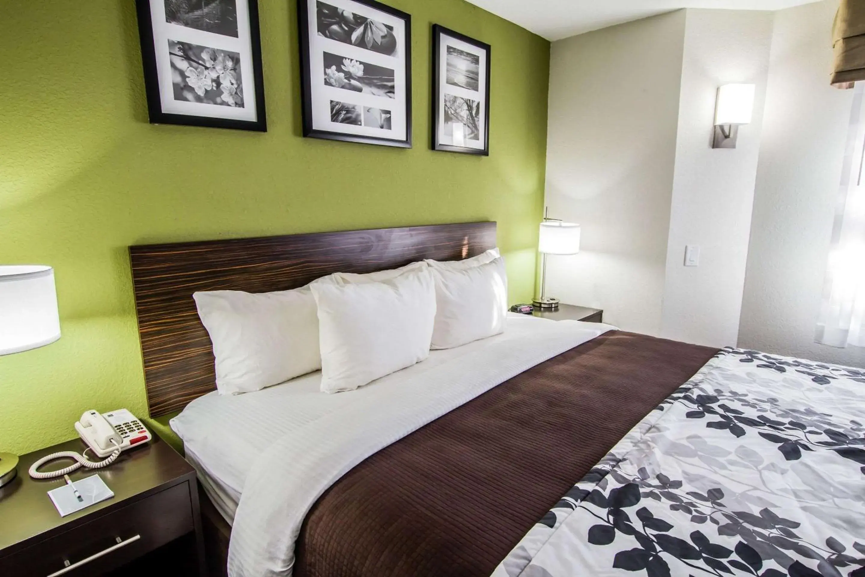 King Room - Non-Smoking in Sleep Inn Gallup King Room - Non-Smoking in Sleep Inn Gallup