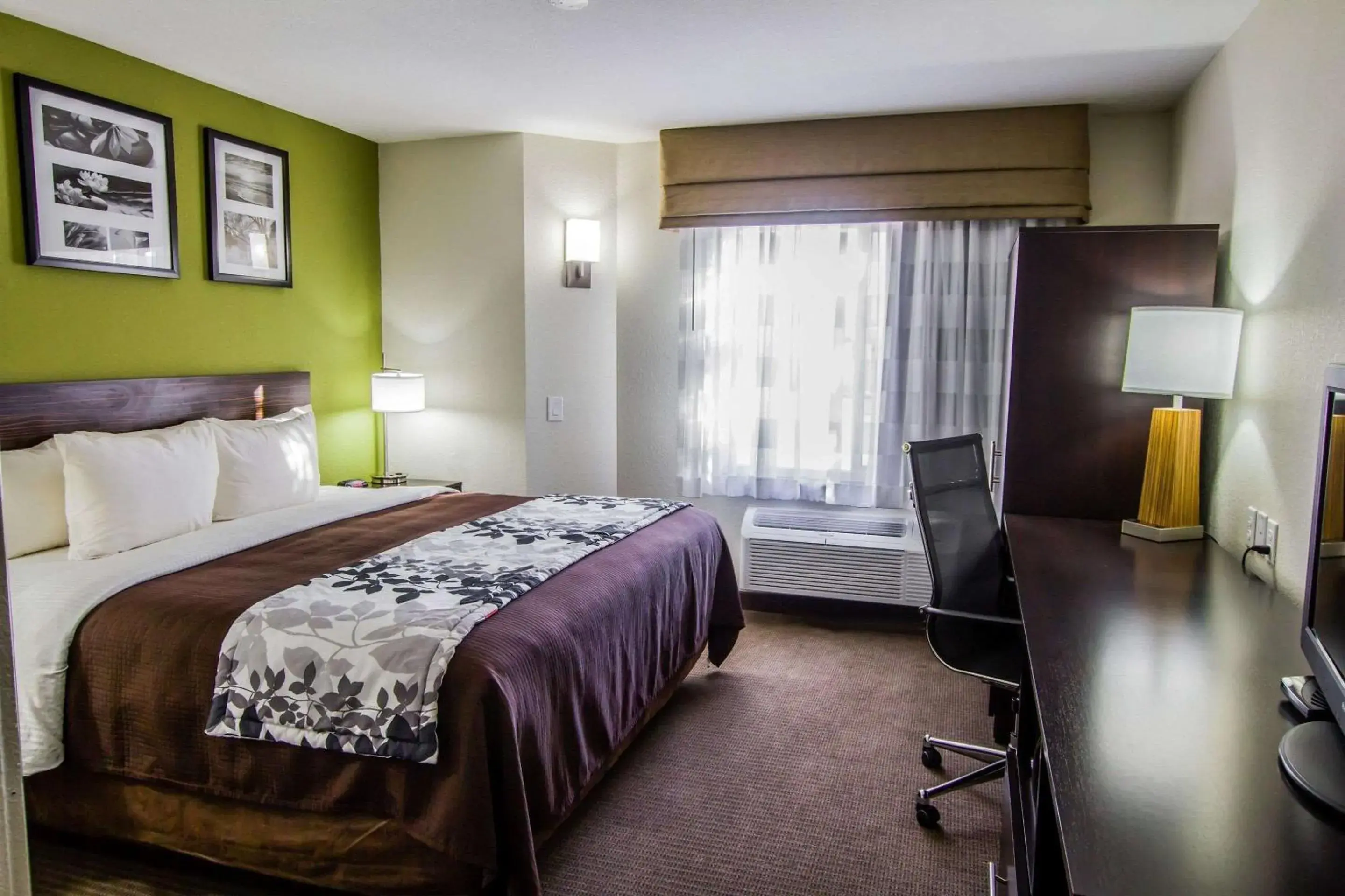 Bedroom, Bed in Sleep Inn Gallup Bedroom, Bed in Sleep Inn Gallup