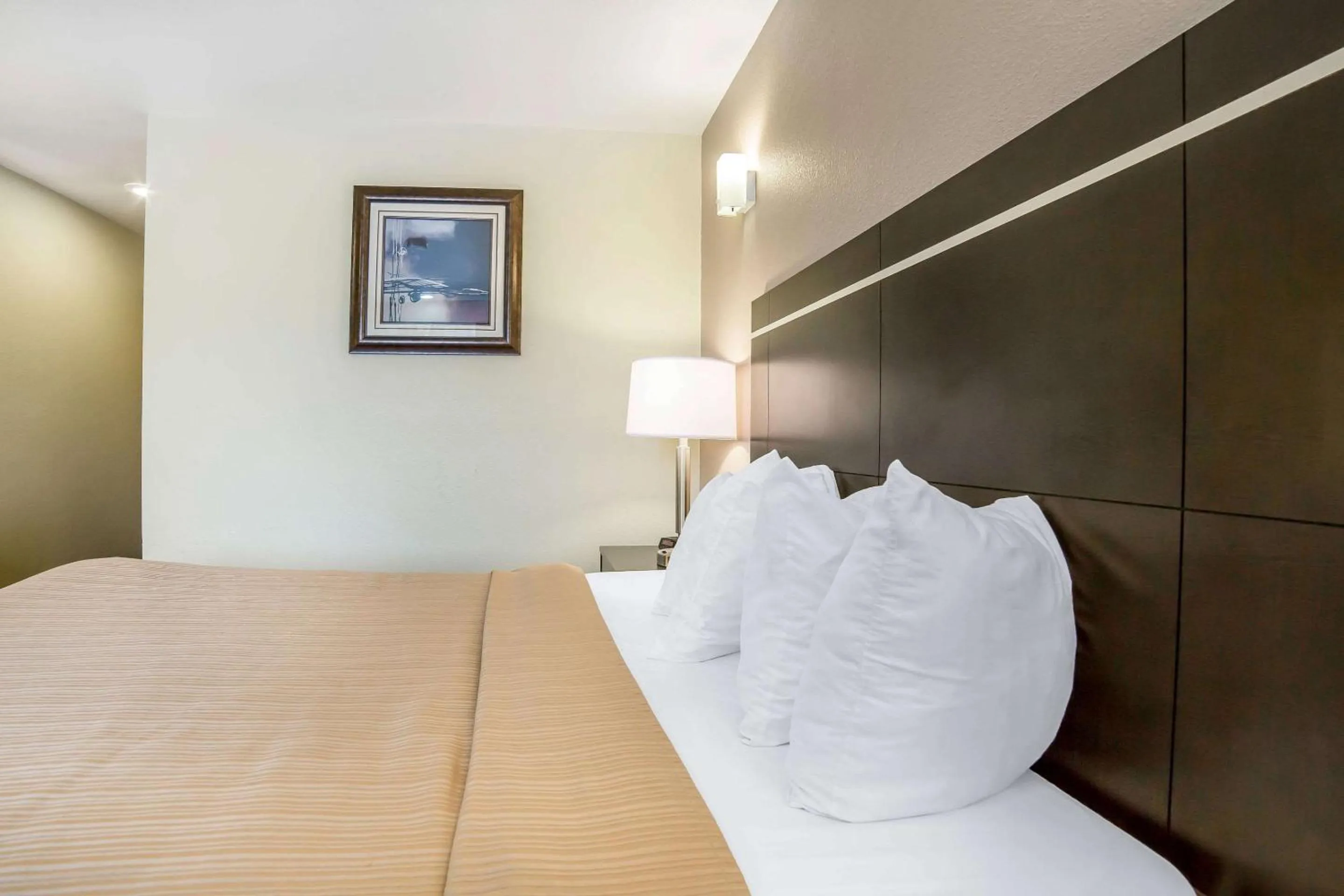 Photo of the whole room, Bed in Quality Inn & Suites Elko