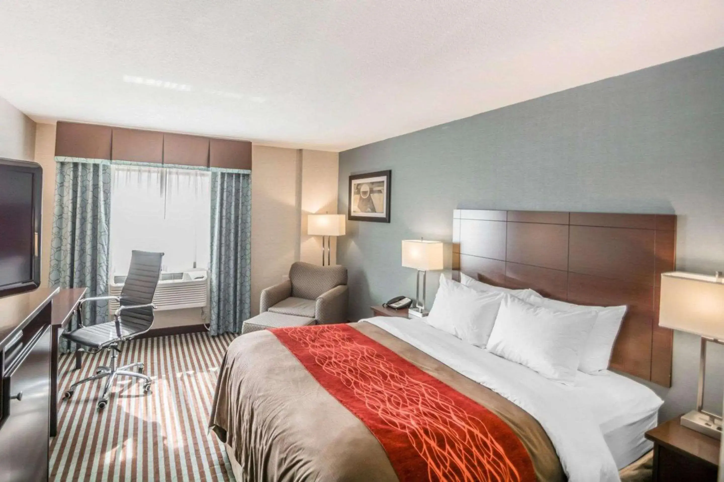 Photo of the whole room, Bed in Quality Inn Photo of the whole room, Bed in Quality Inn