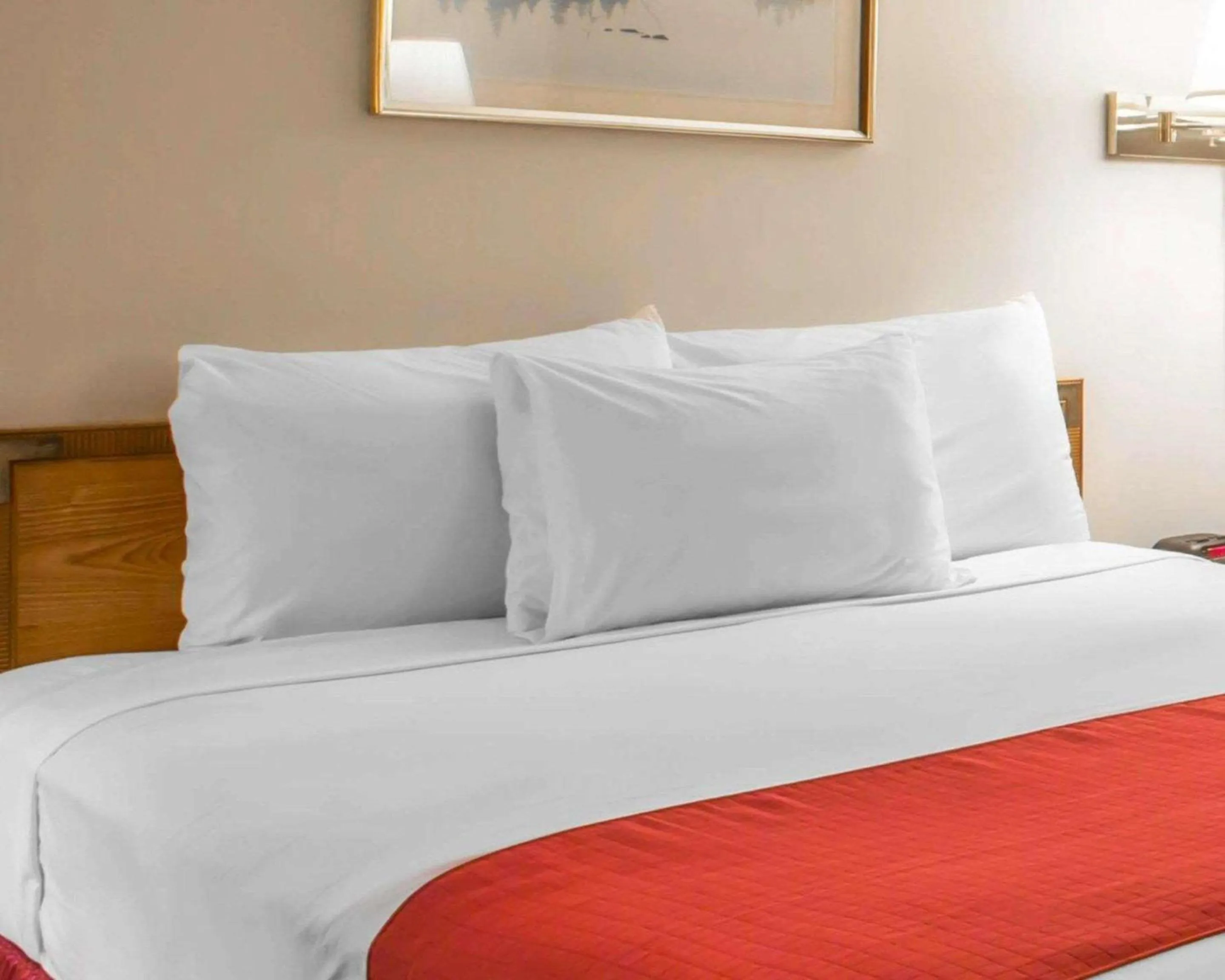 Photo of the whole room, Bed in Rodeway Inn Lake Placid South