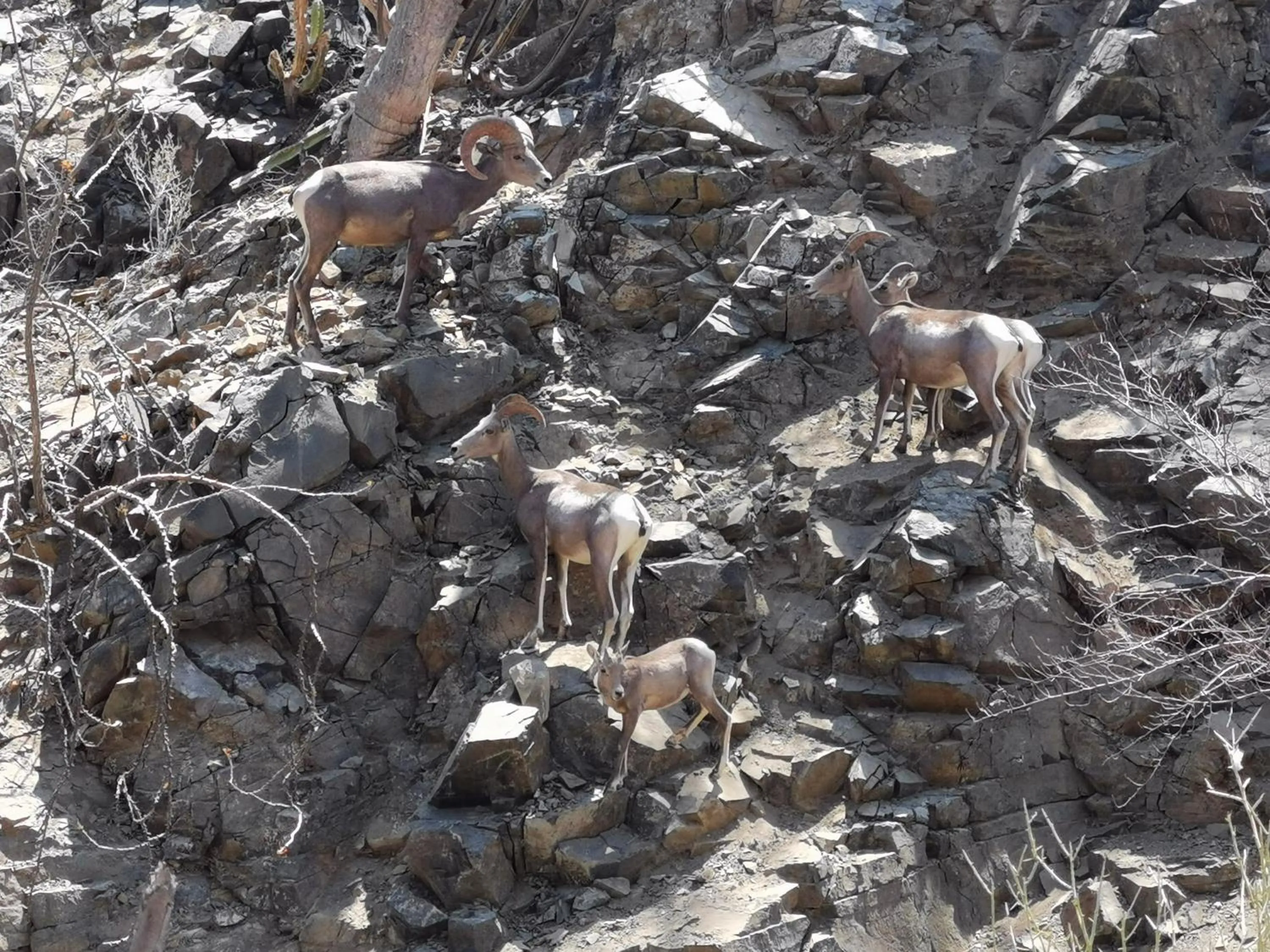 Activities in Los Vientos Hotel