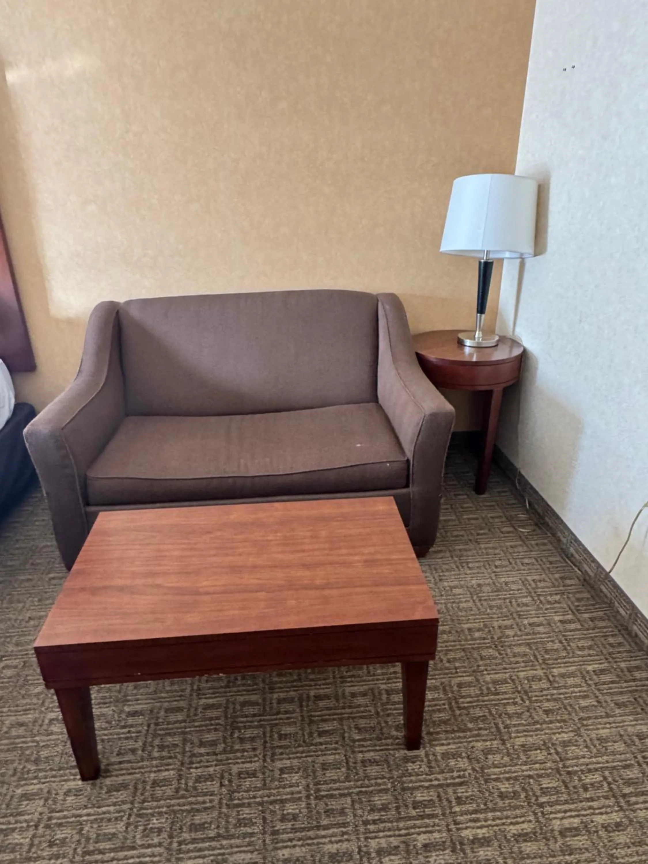 Seating area in Comfort Inn & Suites Hamburg - Buffalo South