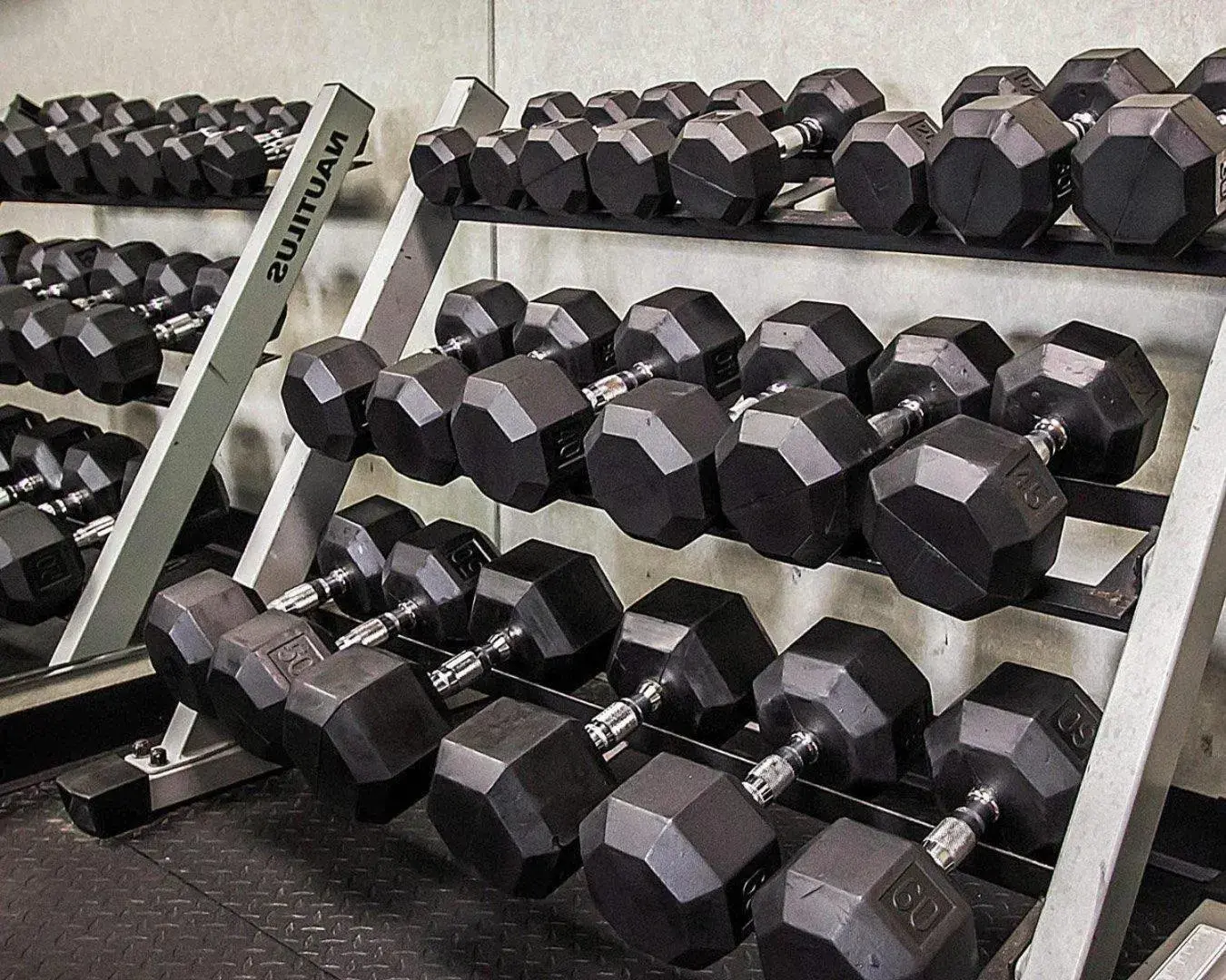 Fitness centre/facilities in Quality Inn & Suites Fishkill South near I-84 Fitness centre/facilities in Quality Inn & Suites Fishkill South near I-84